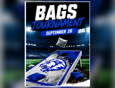 Bags_Tournament_Landscape.png