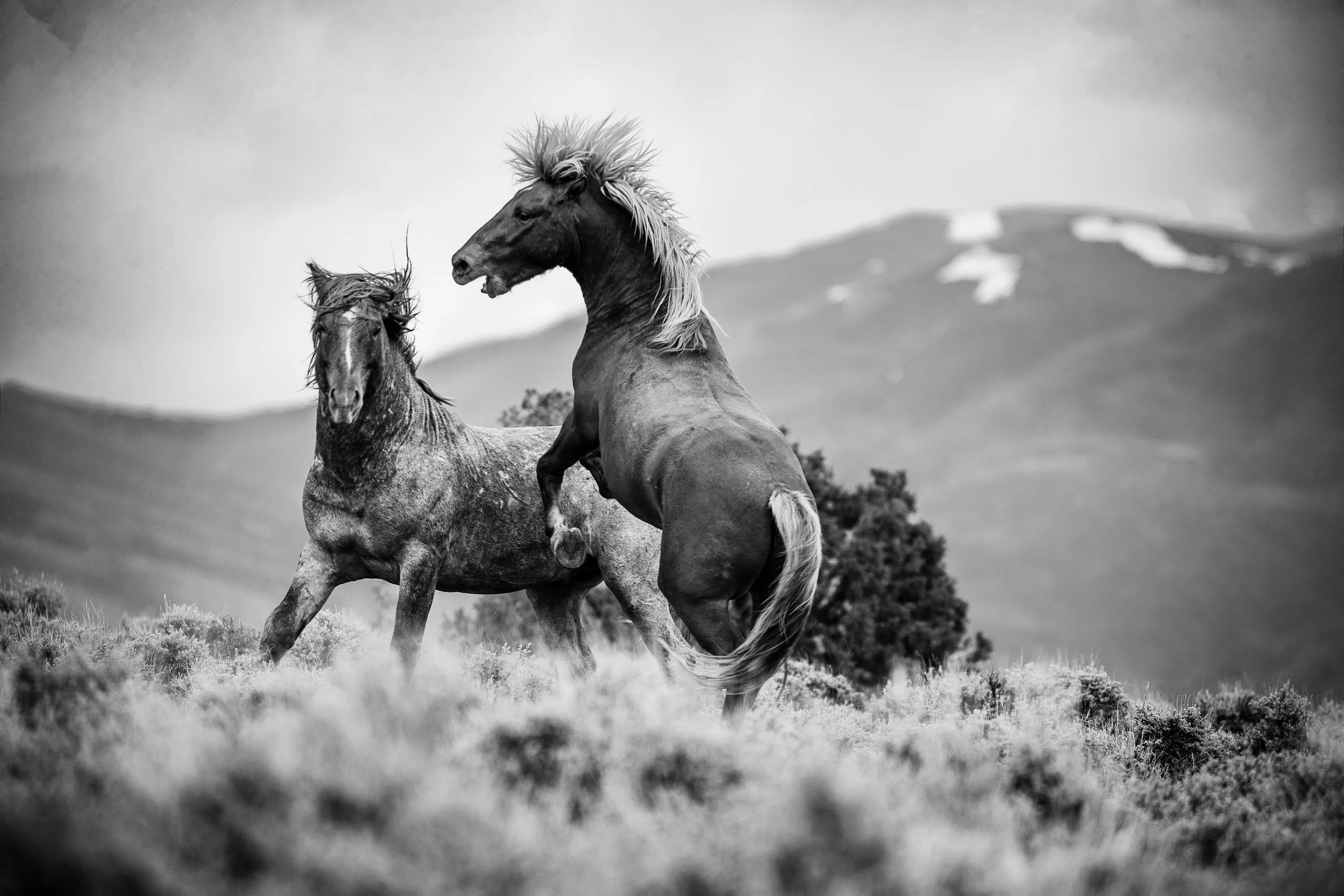Couples Therapy for Couples Navigating Power Imbalances