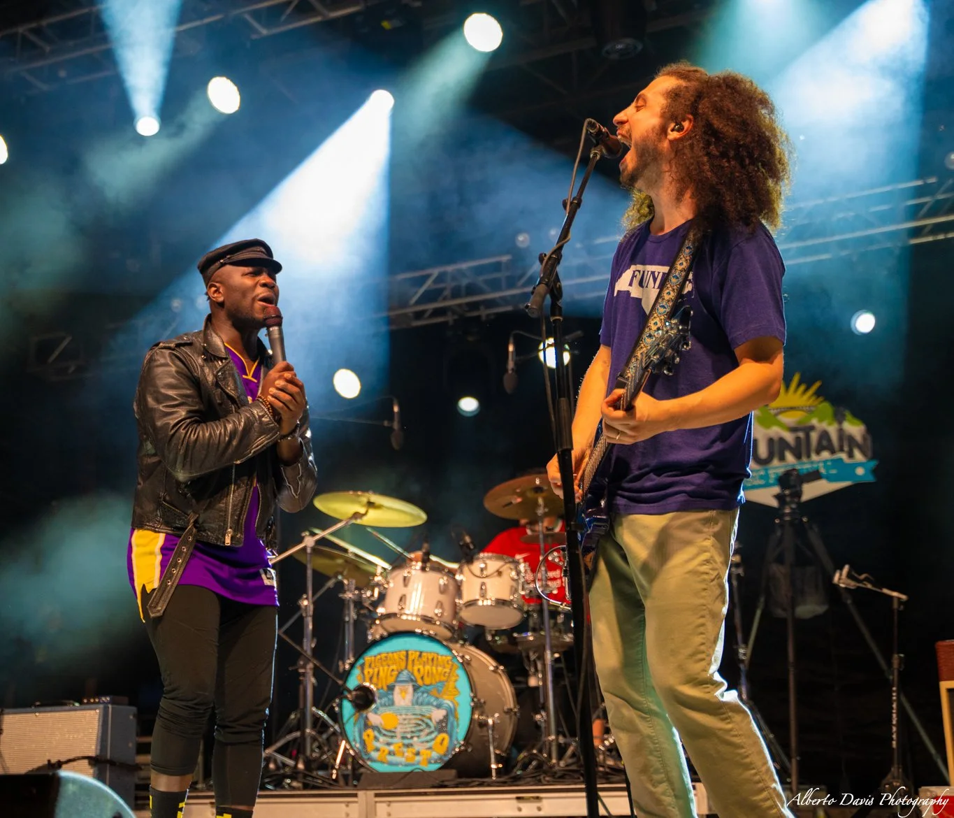 Pigeons Playing Ping Pong