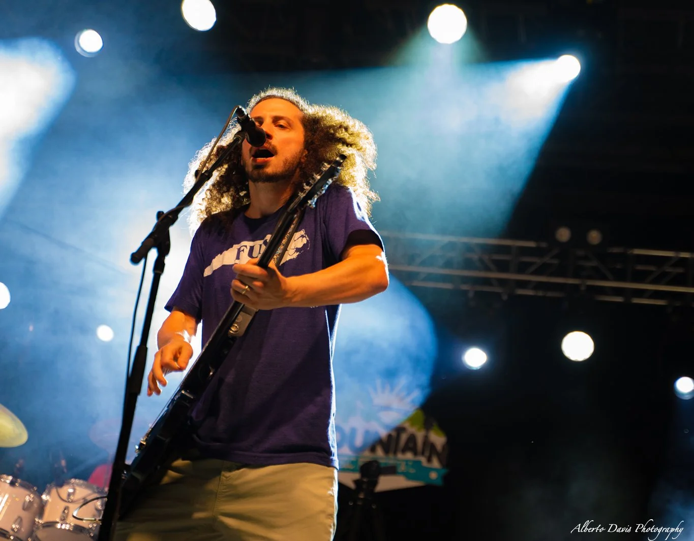 Pigeons Playing Ping Pong