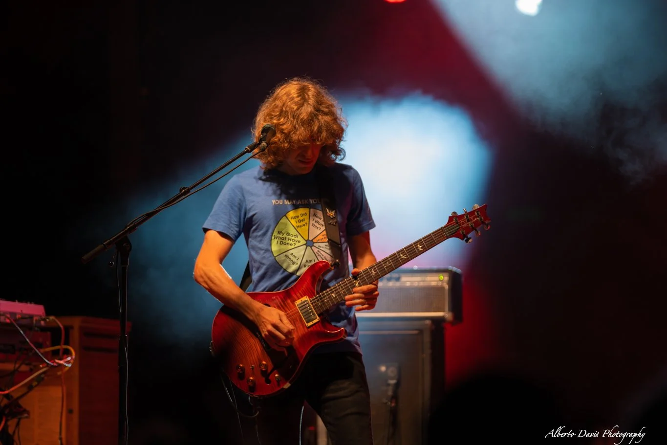 Pigeons Playing Ping Pong