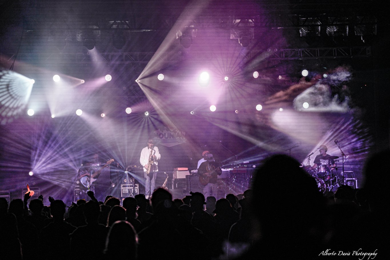 Pigeons Playing Ping Pong