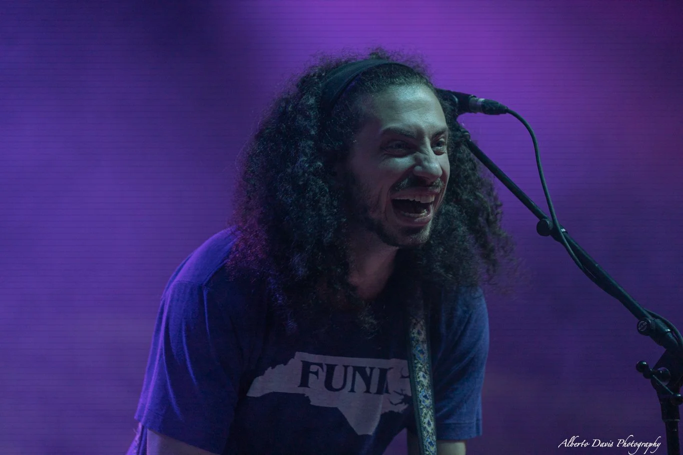 Pigeons Playing Ping Pong