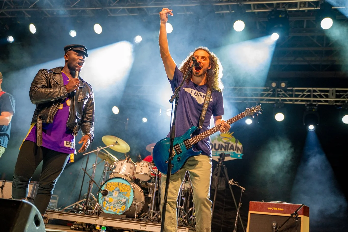 Pigeons Playing Ping Pong