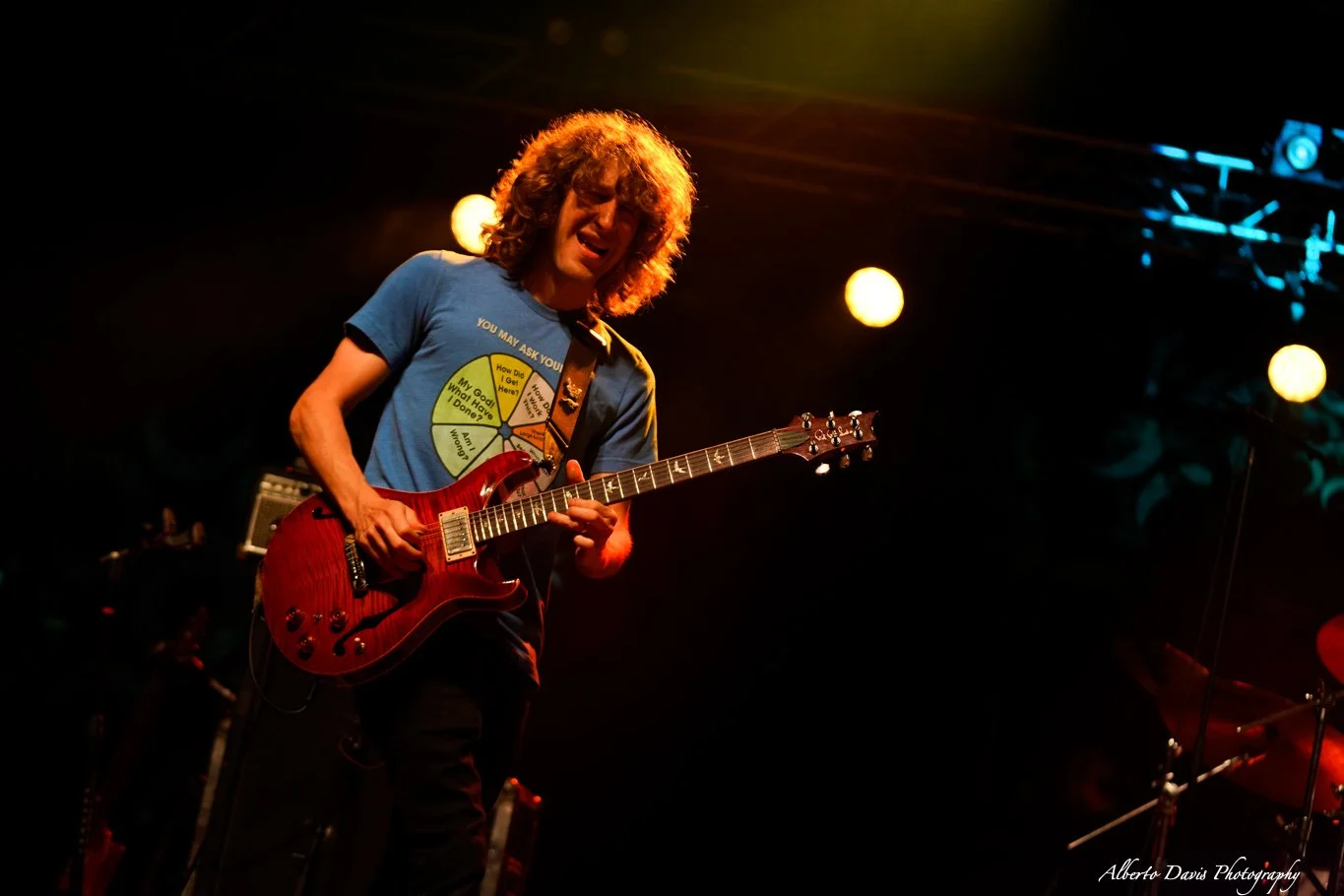 Pigeons Playing Ping Pong