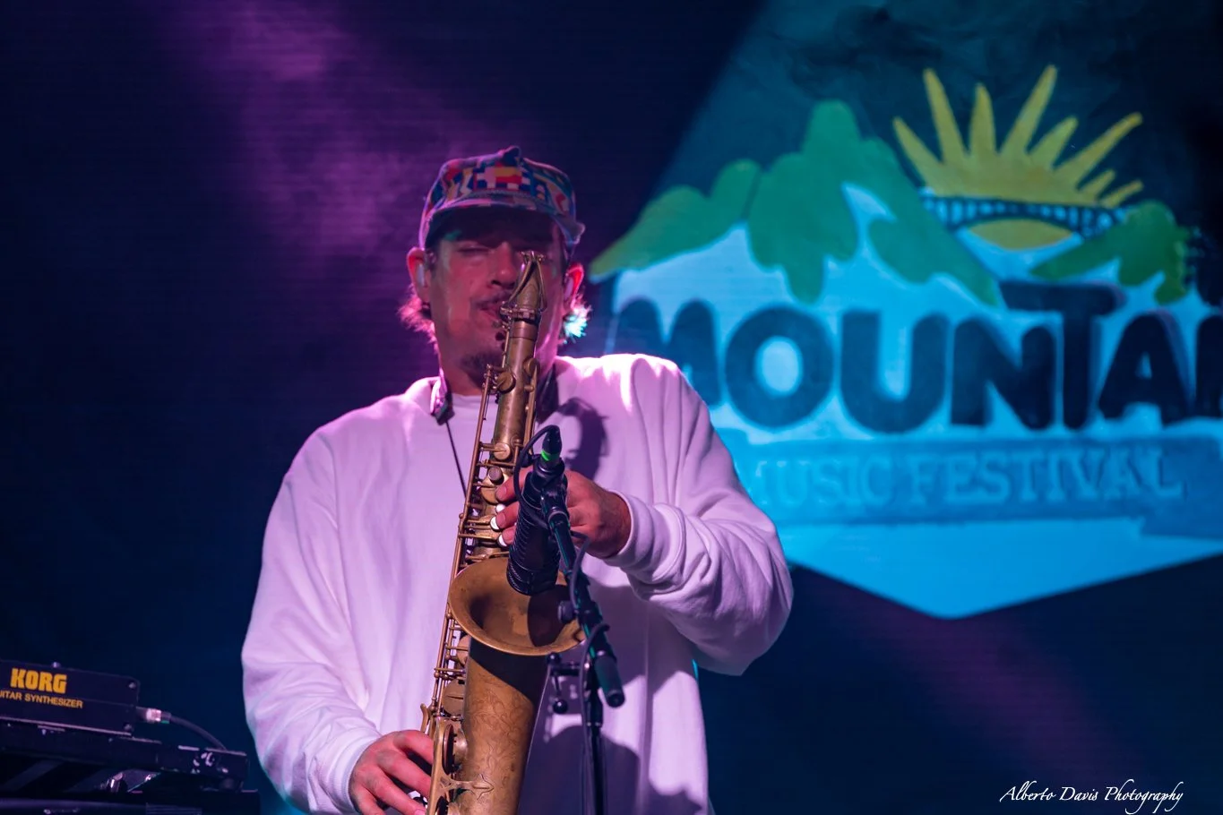 Pigeons Playing Ping Pong