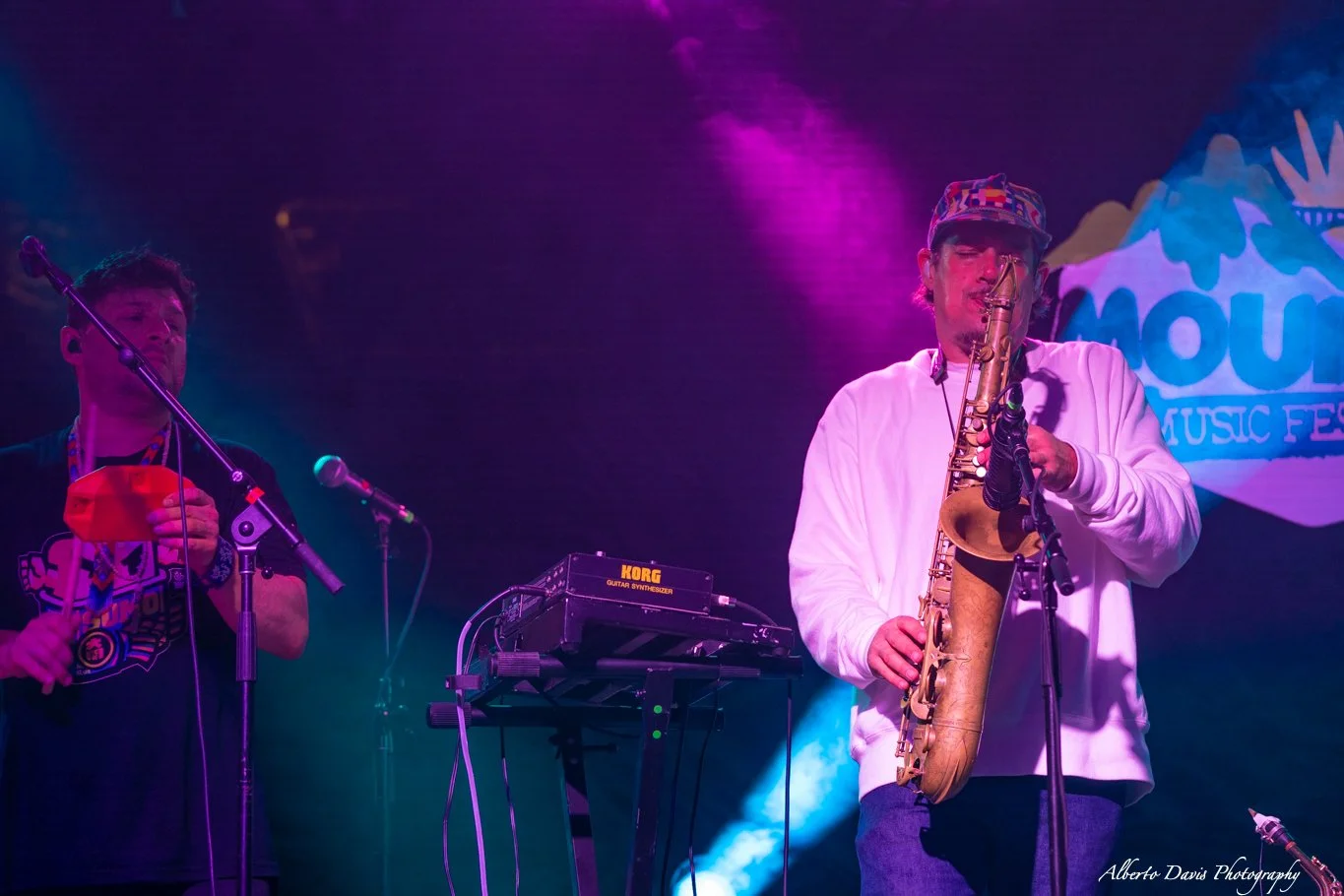 Pigeons Playing Ping Pong