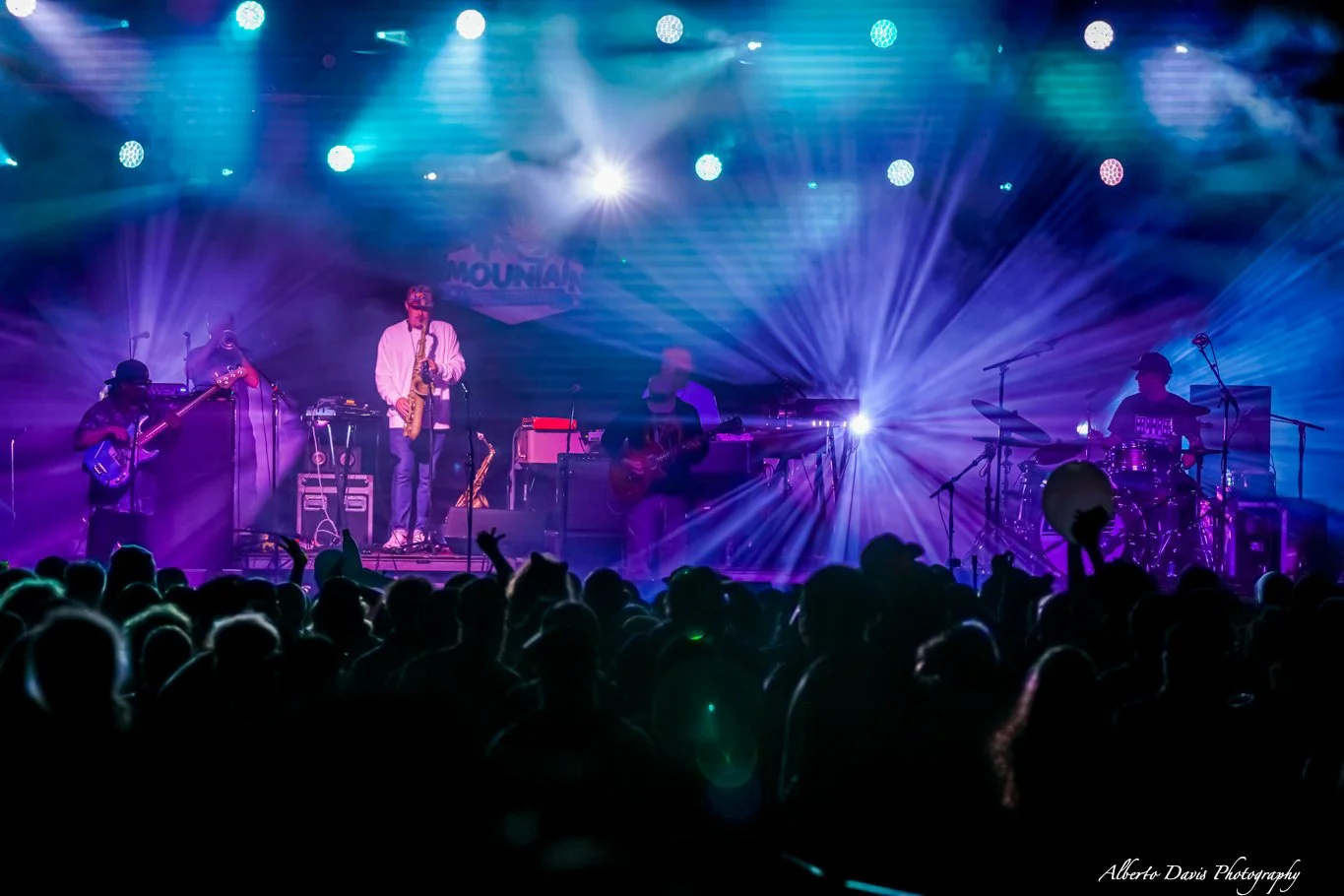 Pigeons Playing Ping Pong