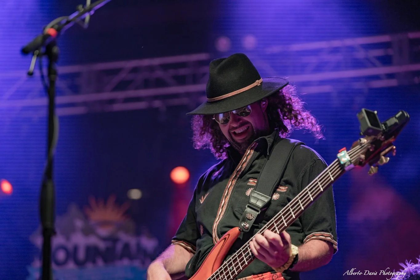 Pigeons Playing Ping Pong