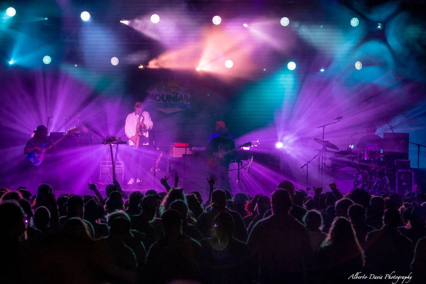 Pigeons Playing Ping Pong