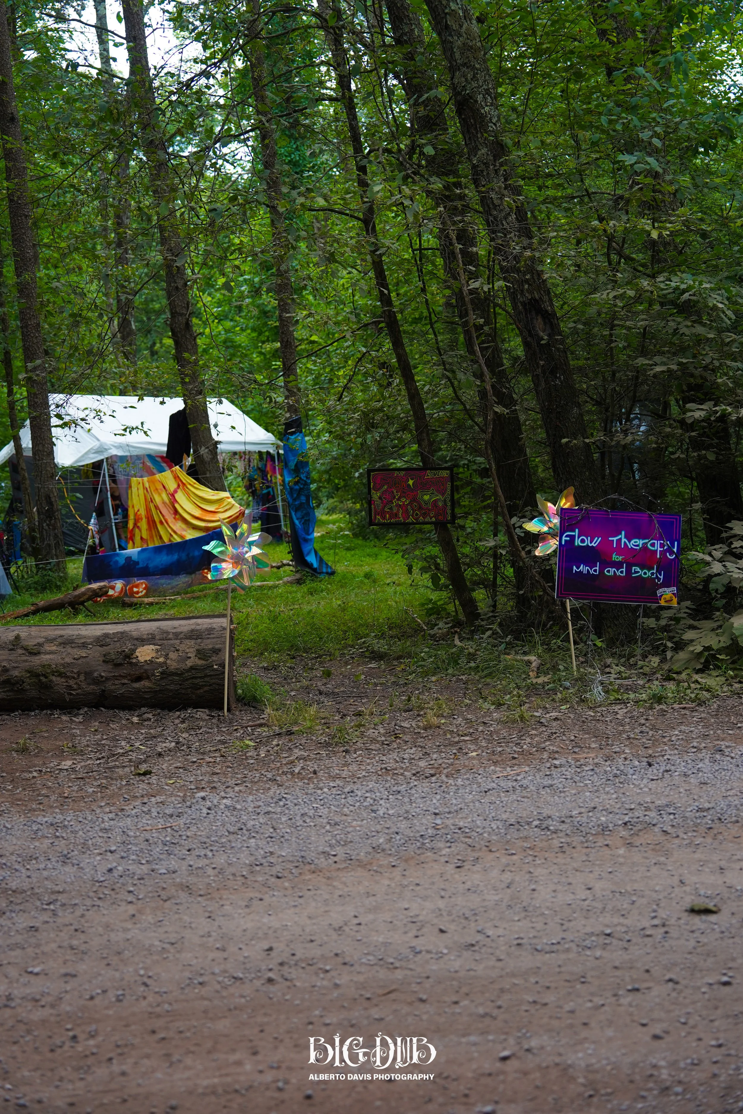 DSC02056.jpg