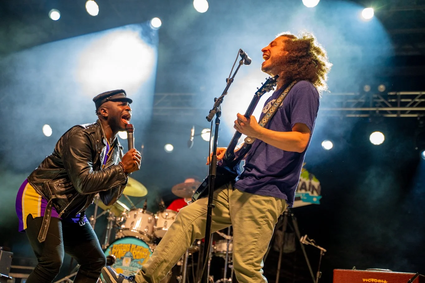 Pigeons Playing Ping Pong