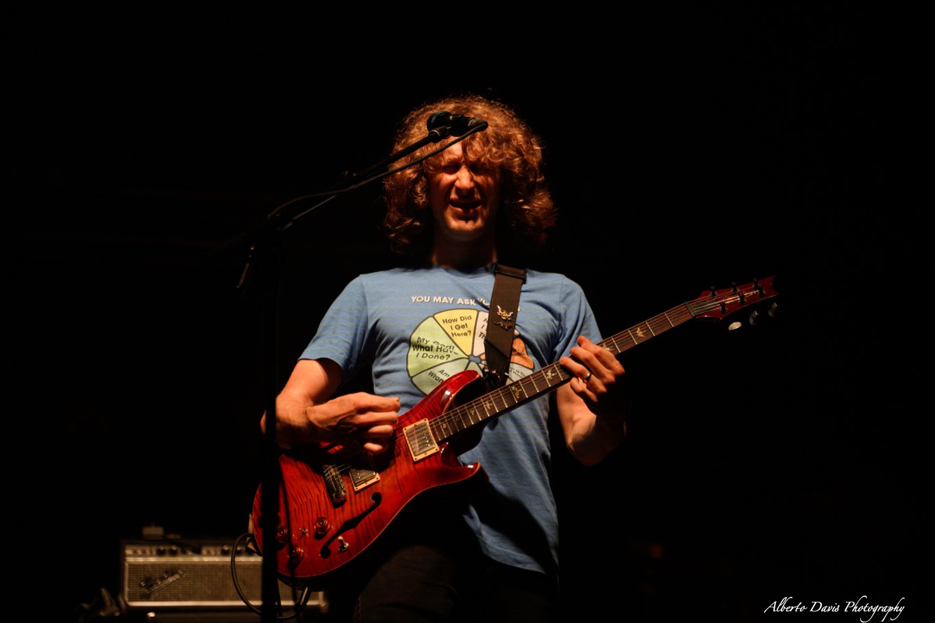 Pigeons Playing Ping Pong