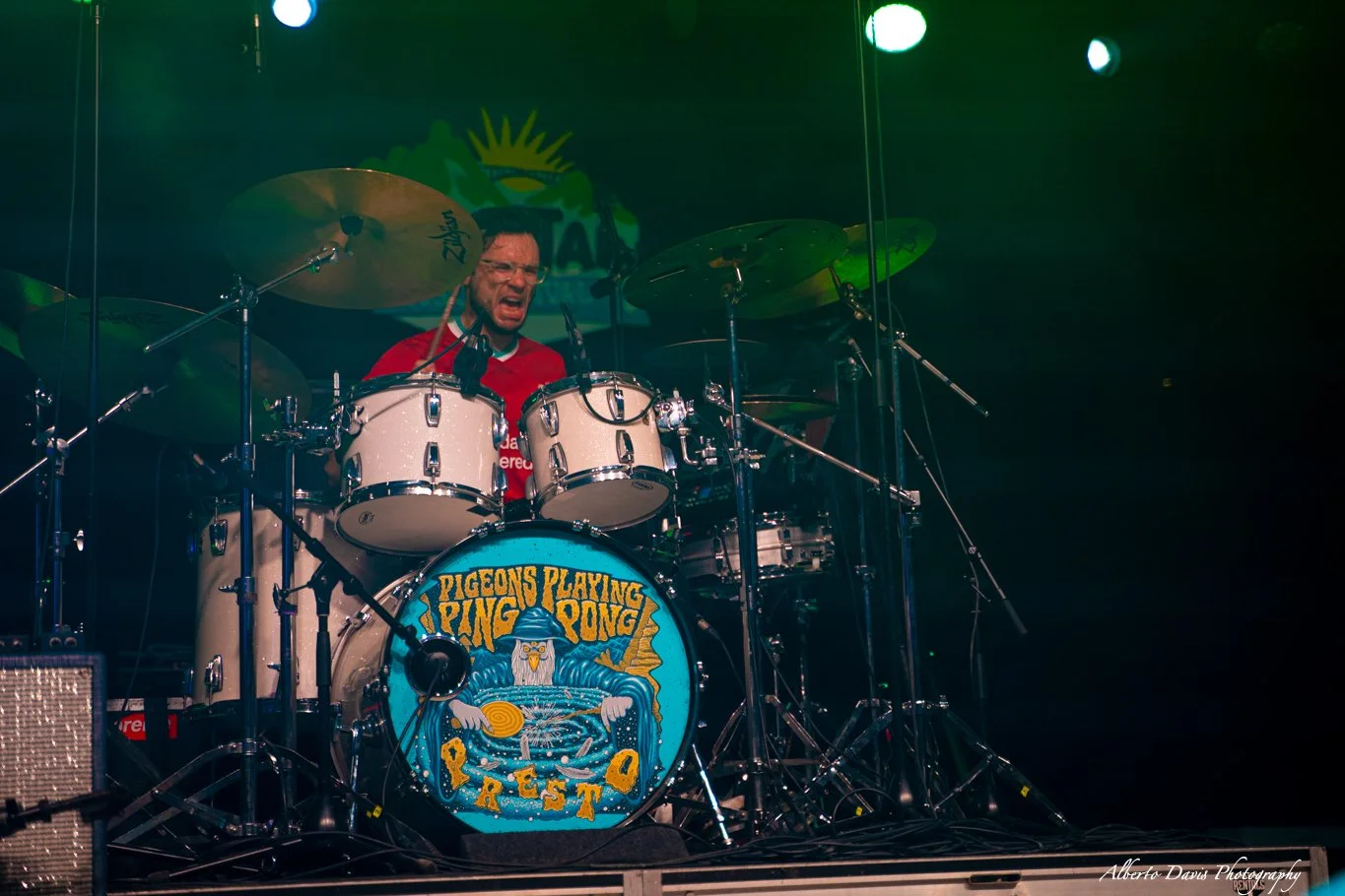 Pigeons Playing Ping Pong