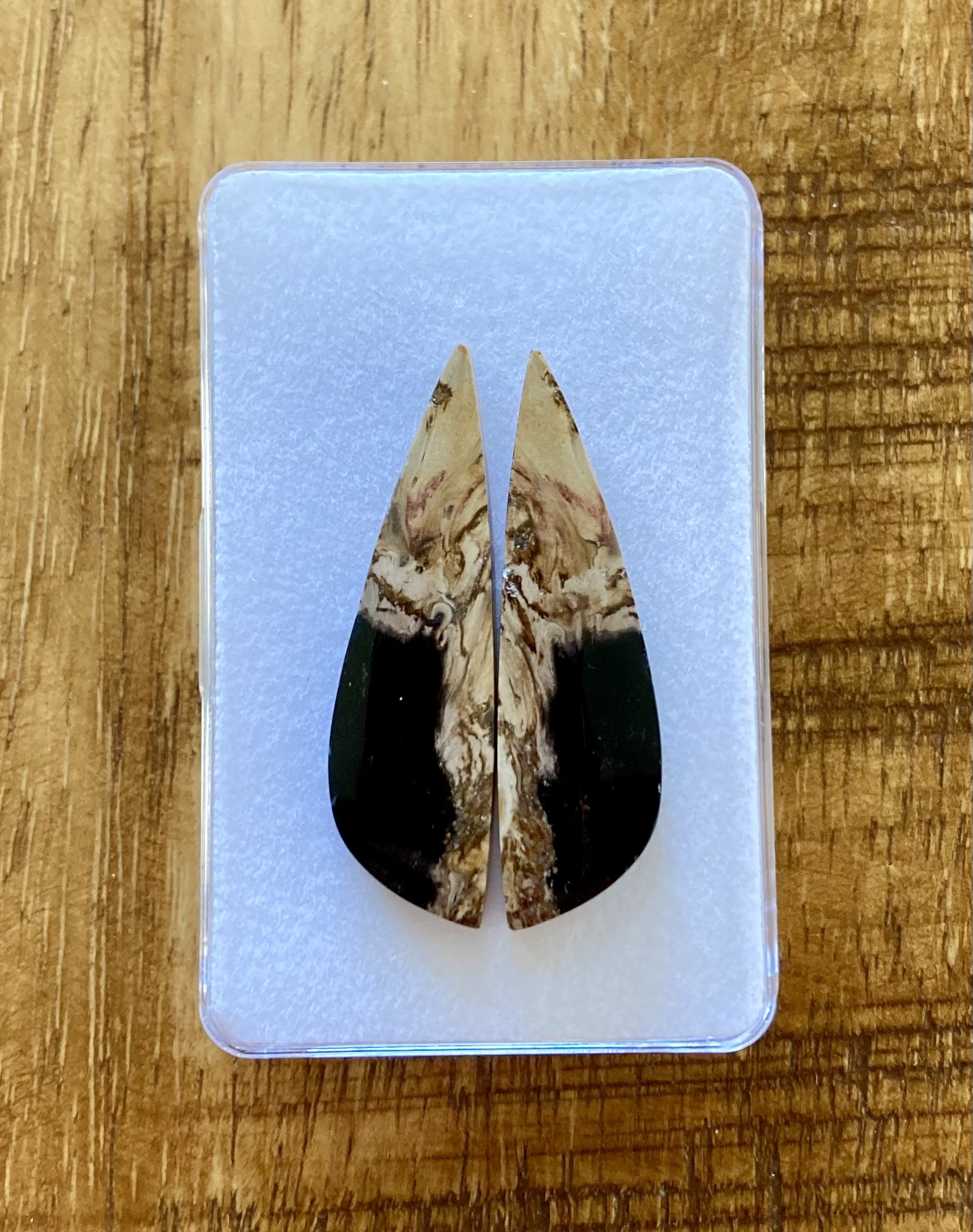 Versteend Palmroot