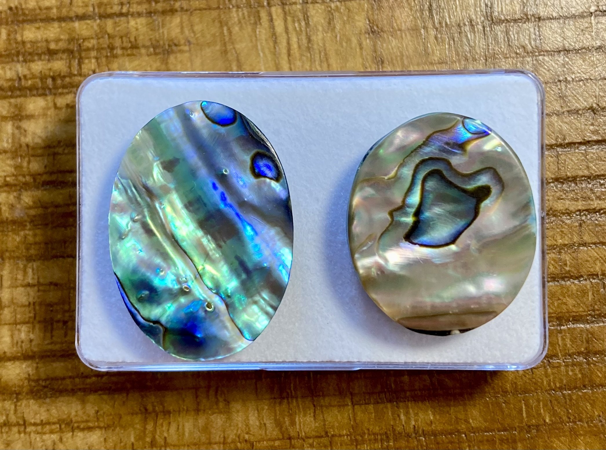Abalone 