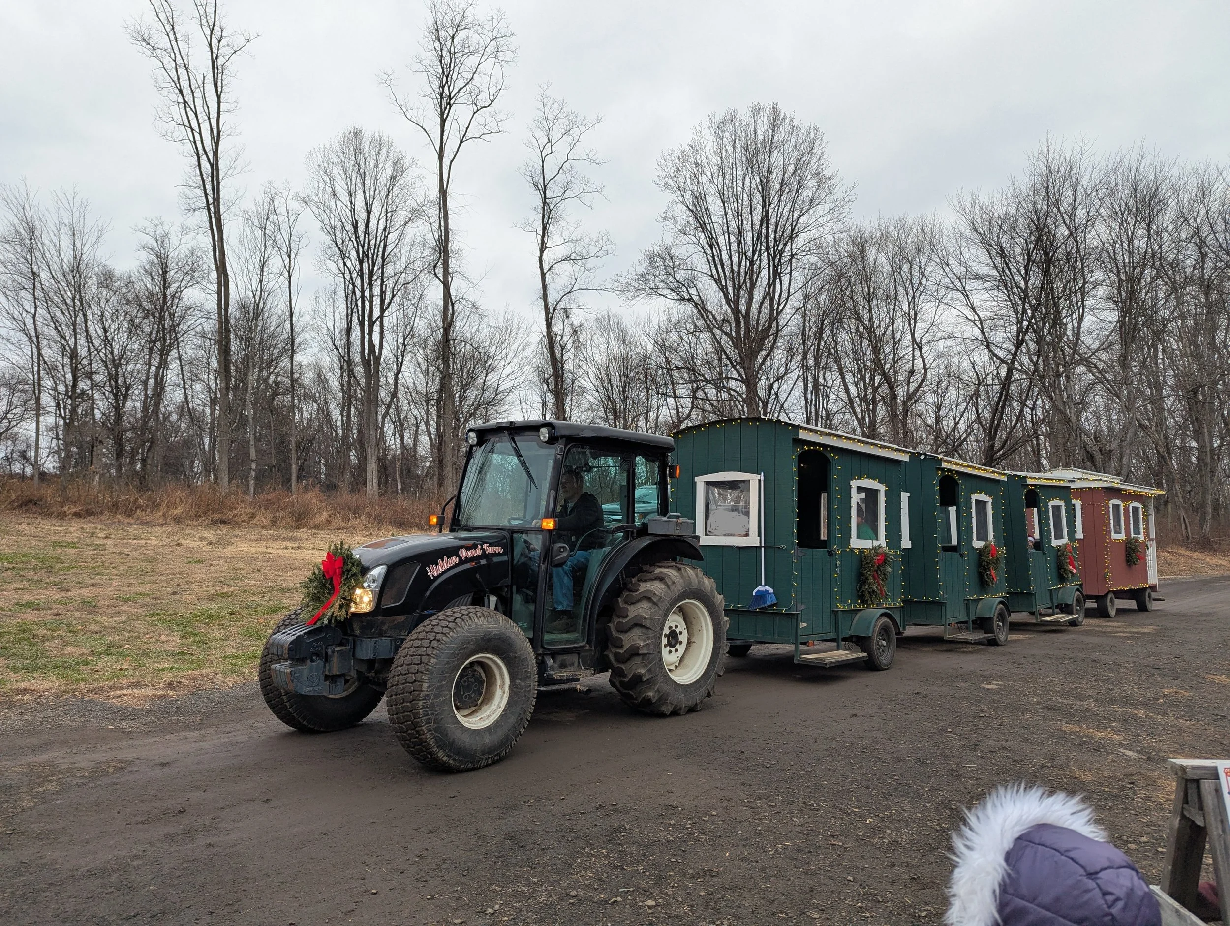 Hidden Pond Tree Farm Review: Cut Your Own Christmas Tree Experience in North Jersey