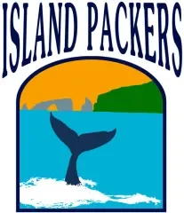 island packers.webp