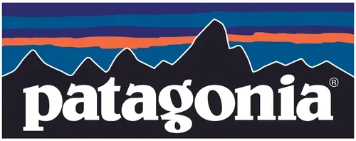 patagonia-logo.webp