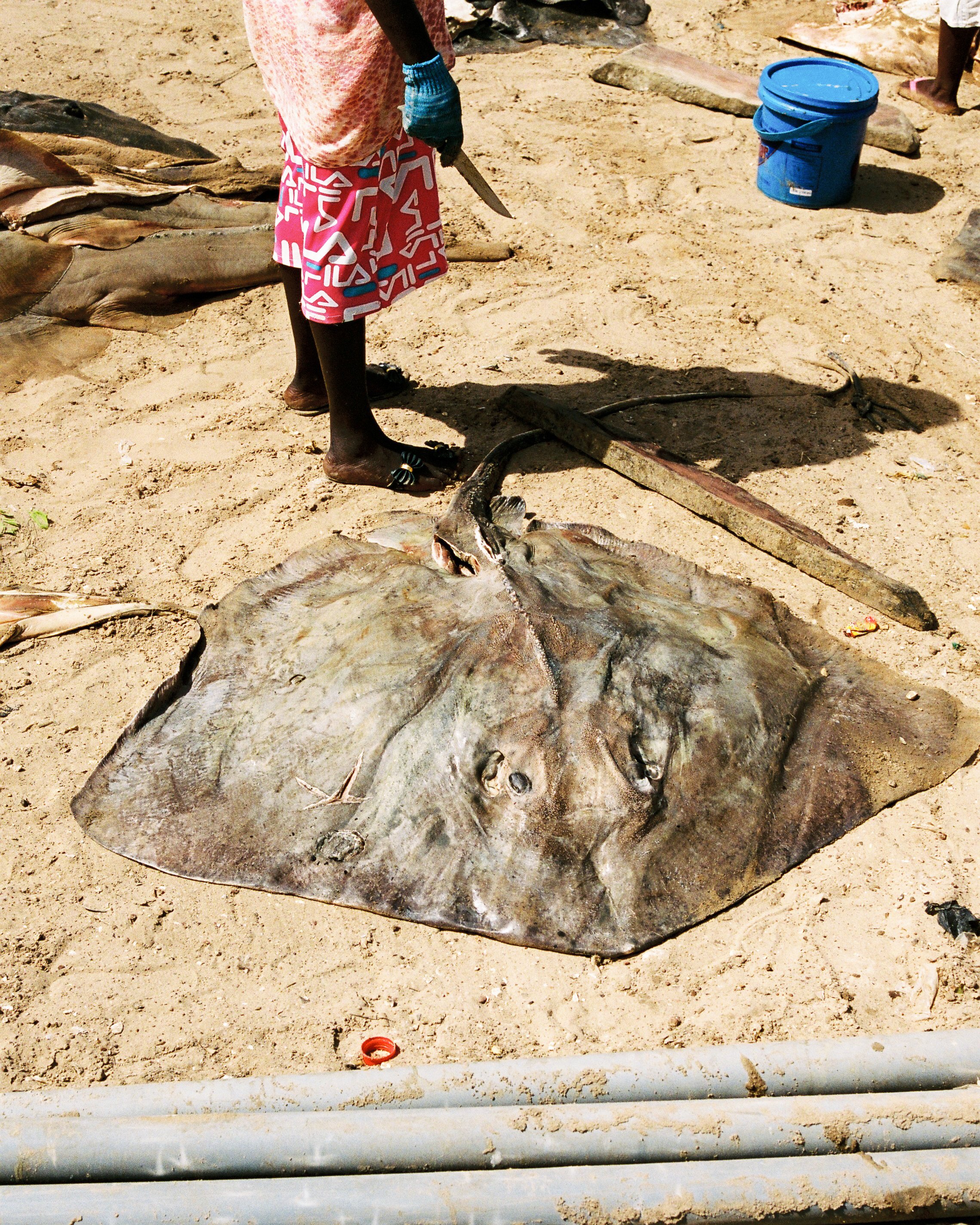 BAOBAB-22.jpg
