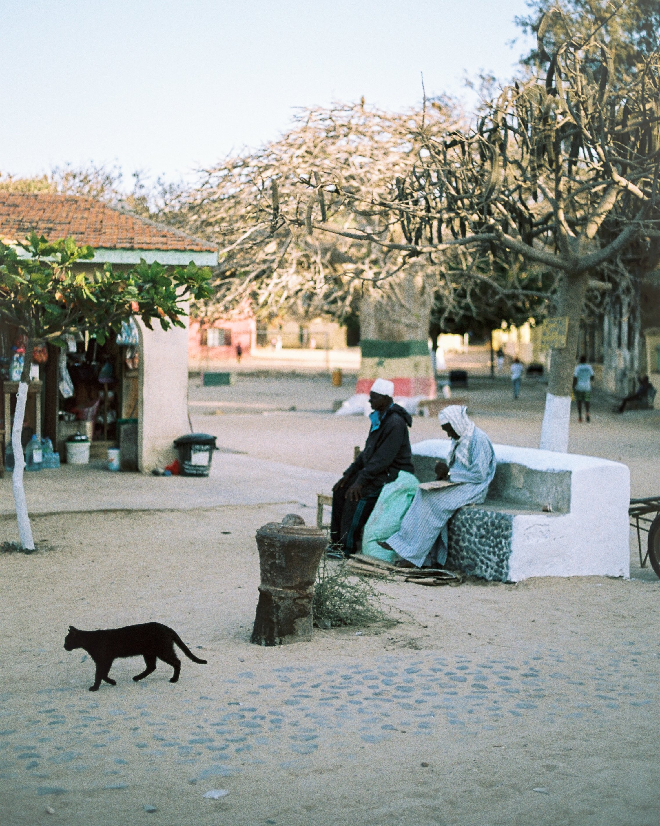 BAOBAB-33.jpg