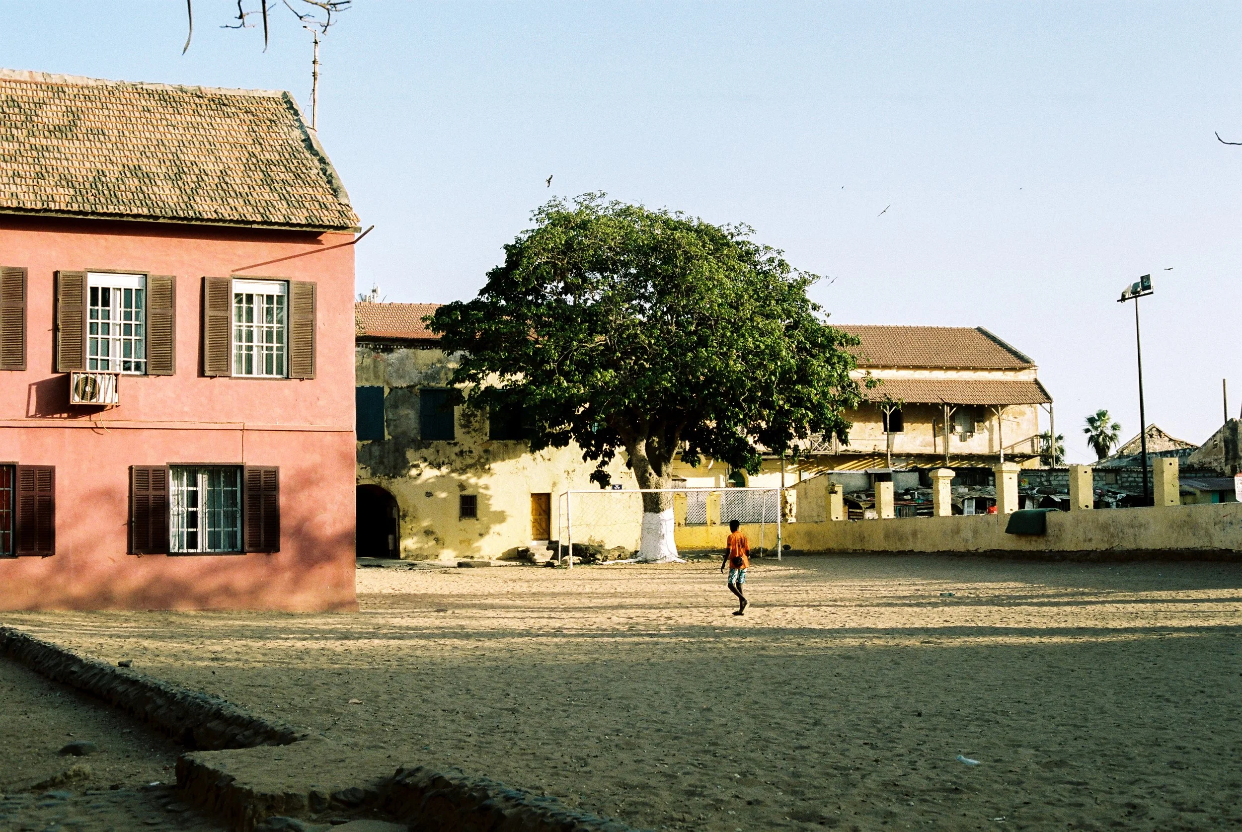 BAOBAB-34.jpg