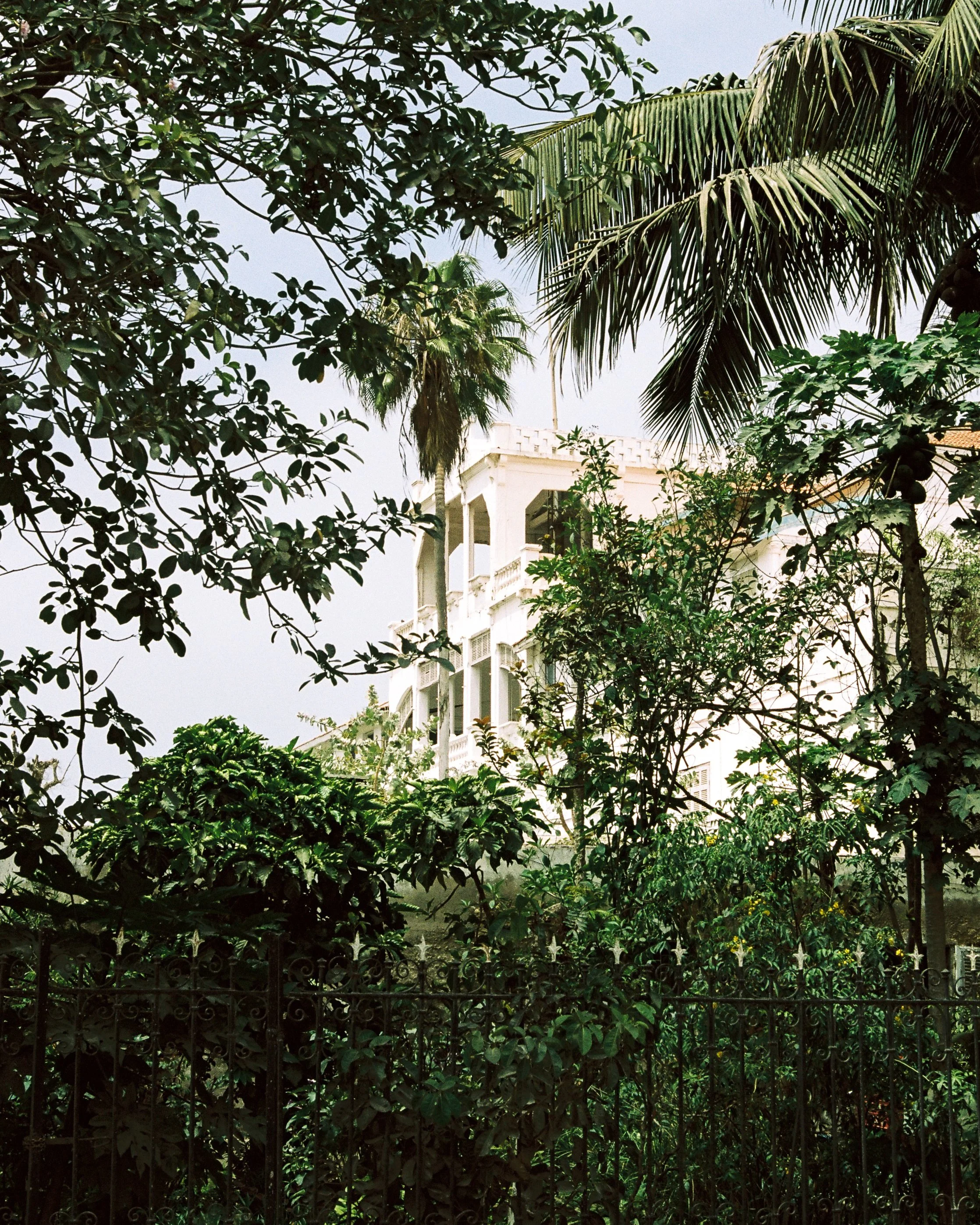 BAOBAB-42.jpg