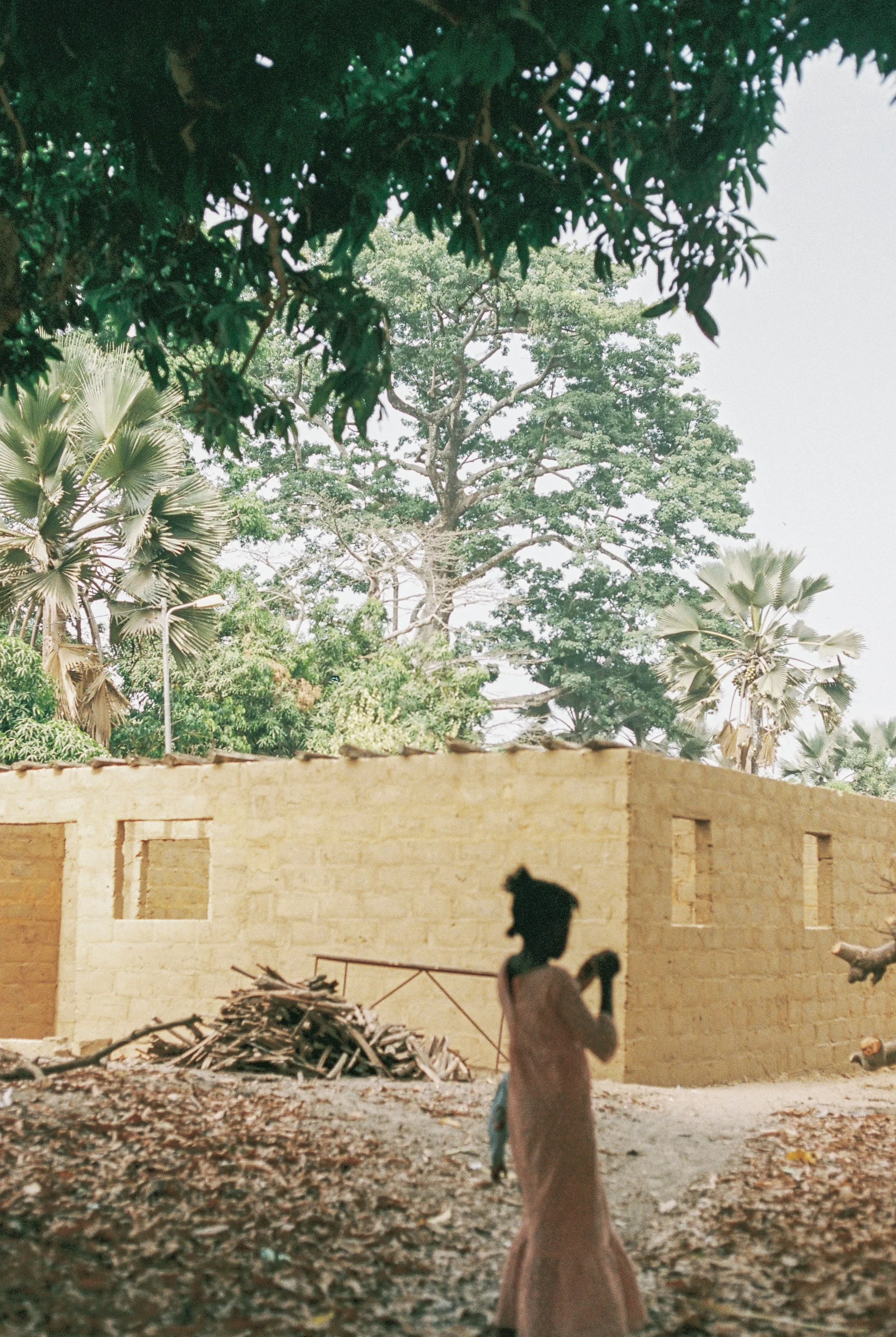 BAOBAB-45.jpg
