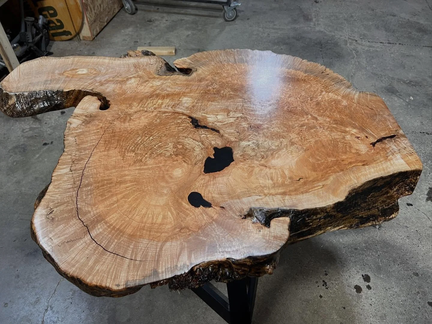 burl table1.jpg