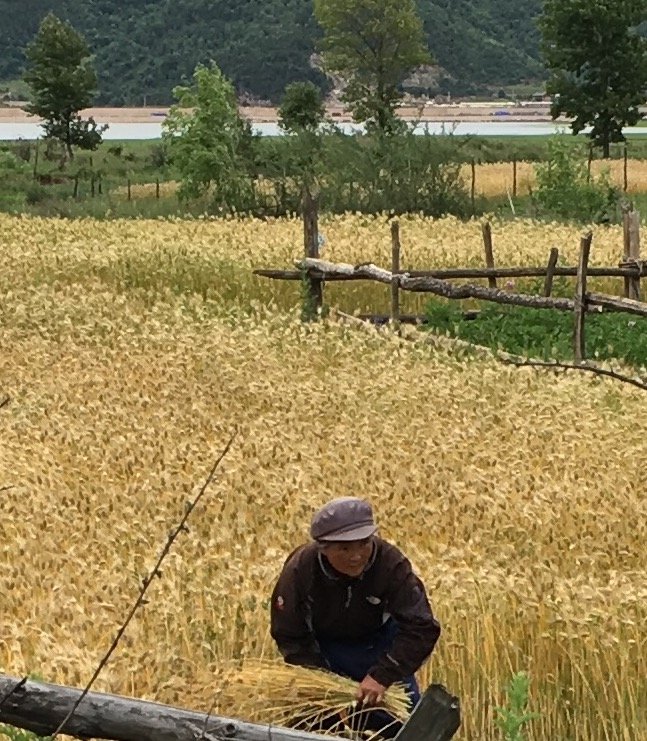 Yunnan Province, China