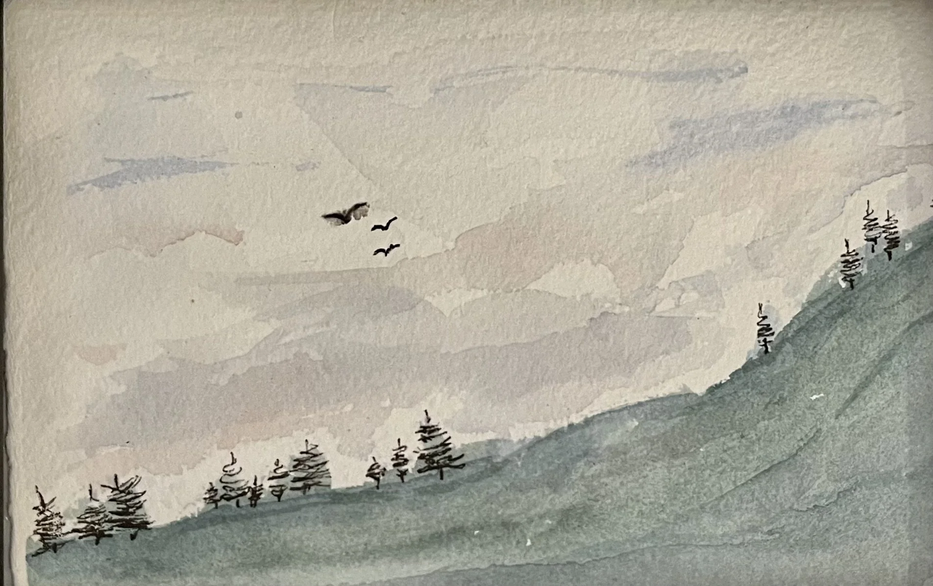 Watercolor 