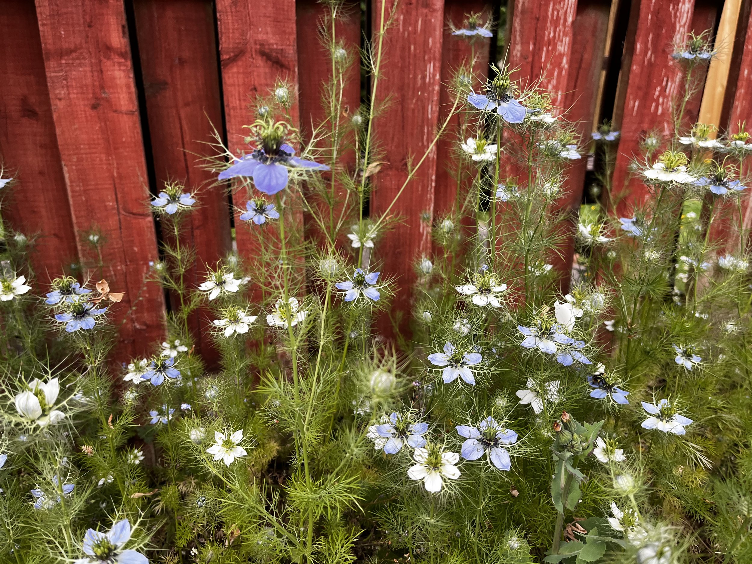 Frome, Somerset, England