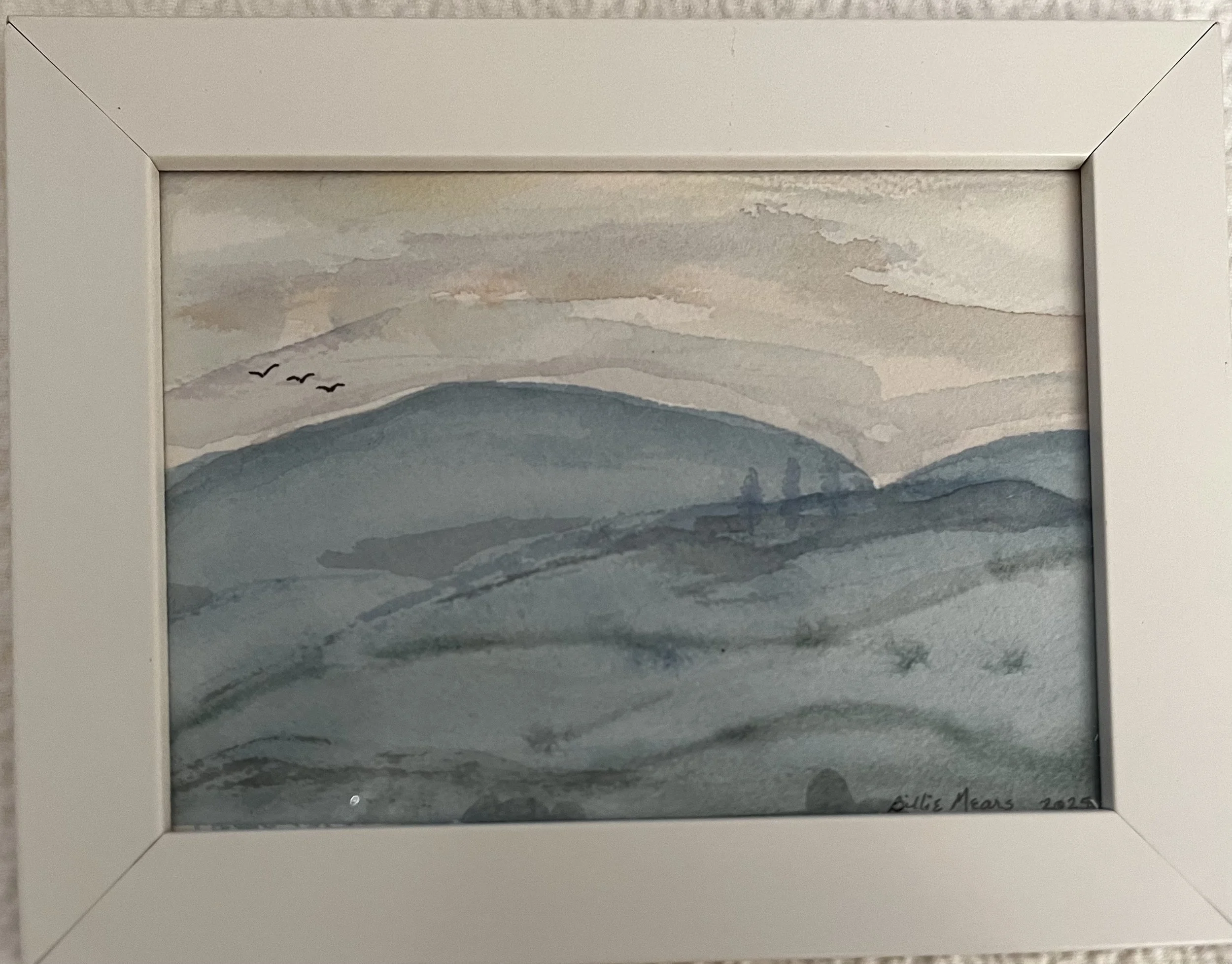 Framed Watercolor