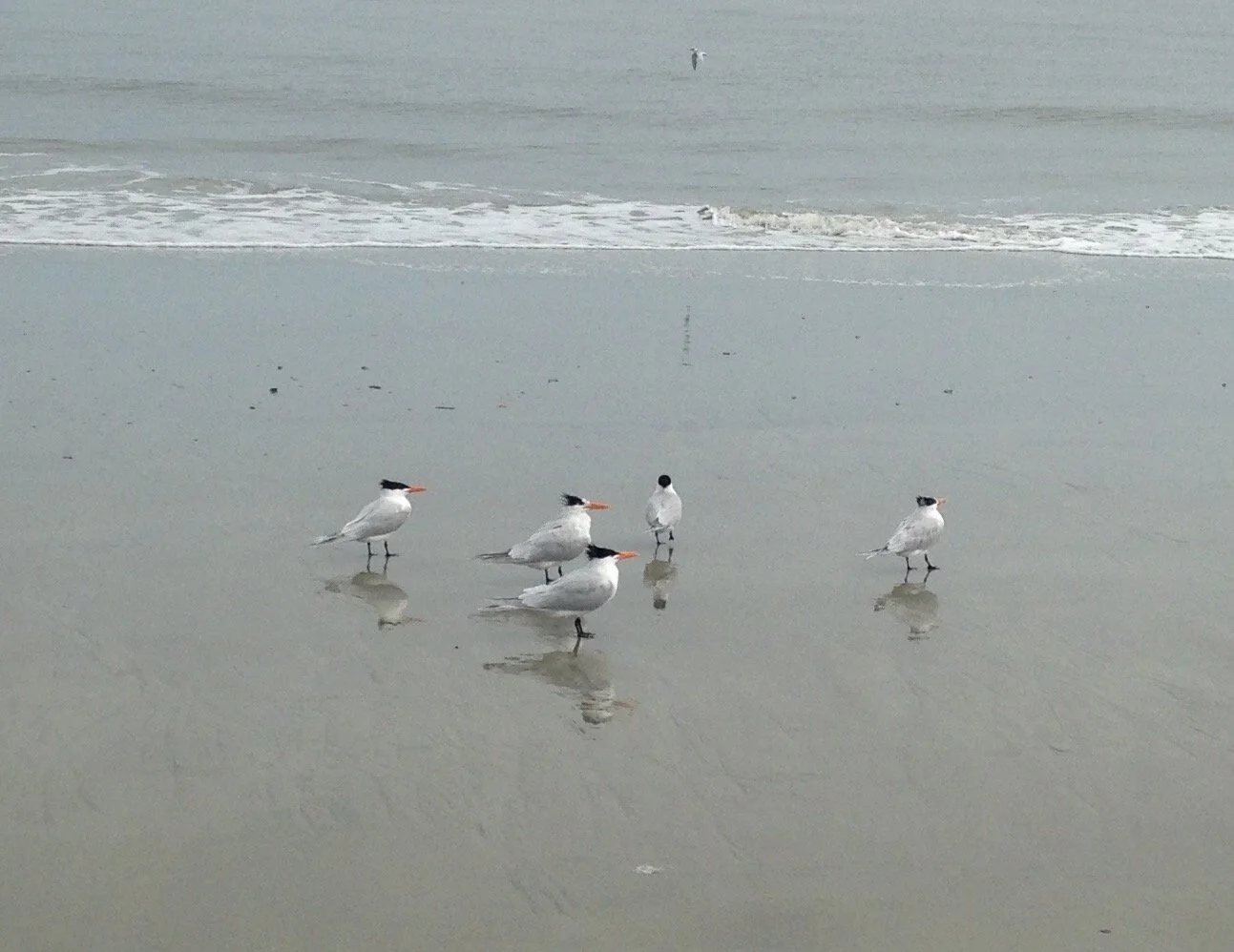 Tybee Island, GA