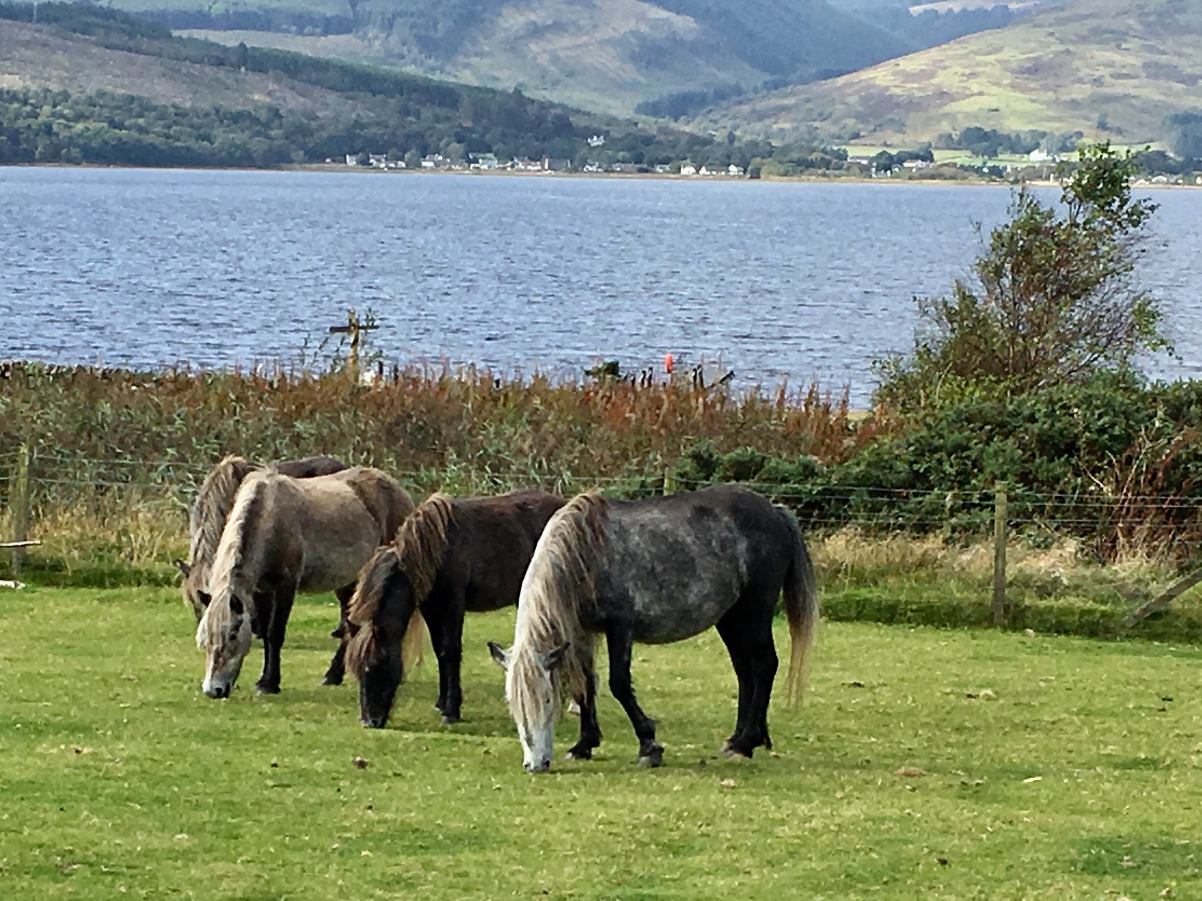 Holy Island, Scotland