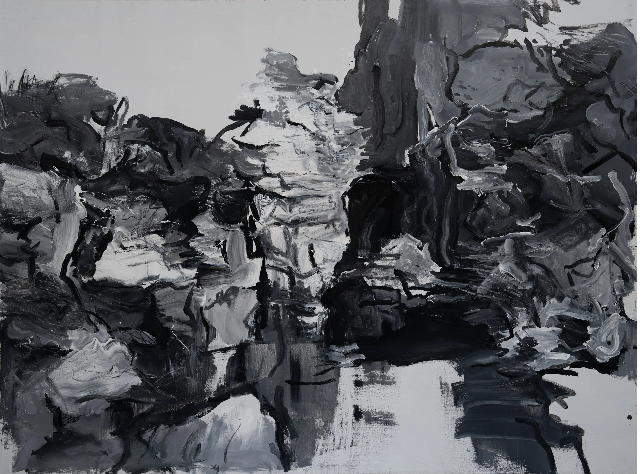 看不见的风景之九  |  Invisible Landscapes No.9
 
229 * 174 cm
 
2024