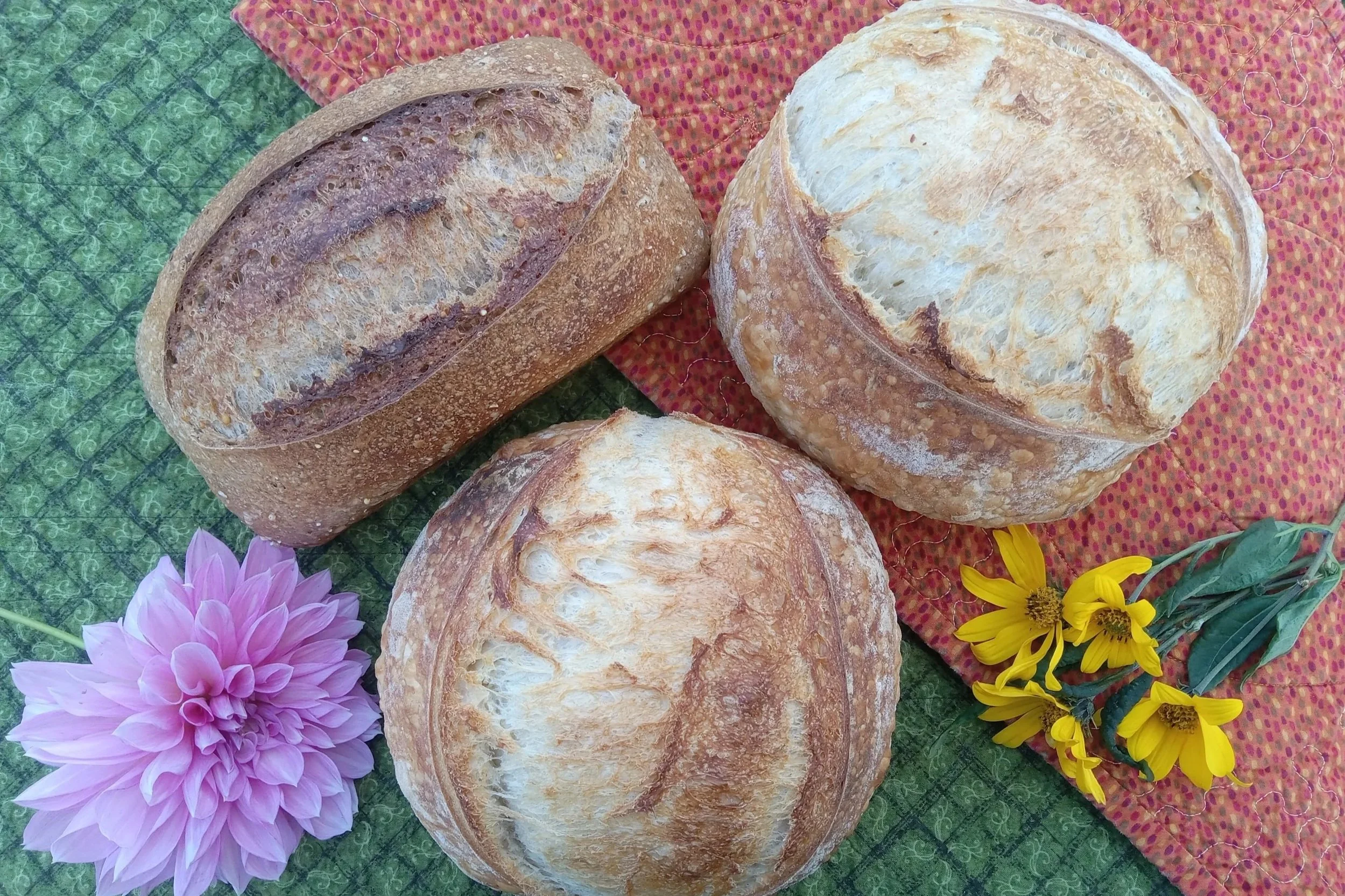 How to Freeze and Reheat Sourdough Bread