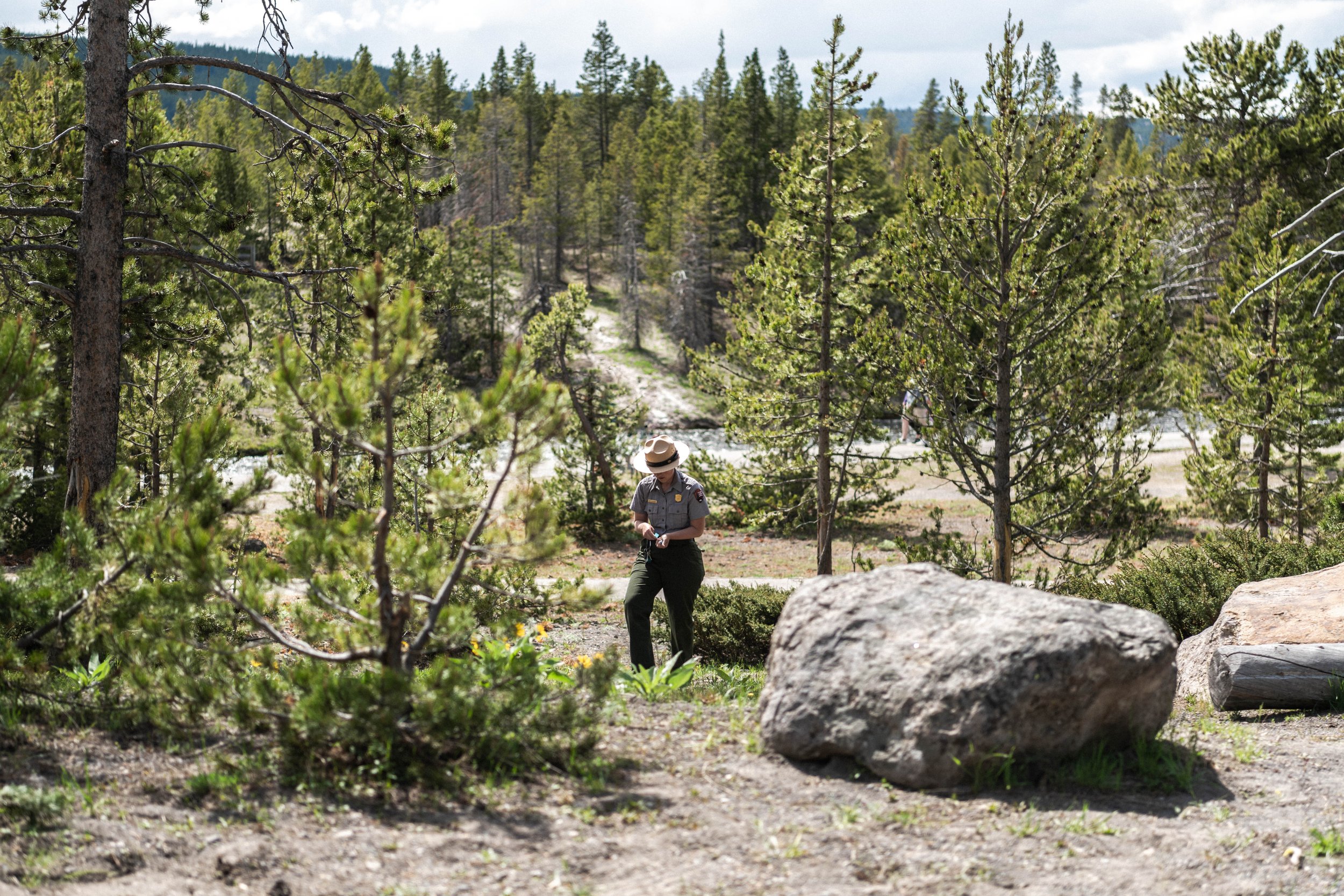 YELLOWSTONE NATIONAL PARK 23 MONTANA AEM-10.jpg