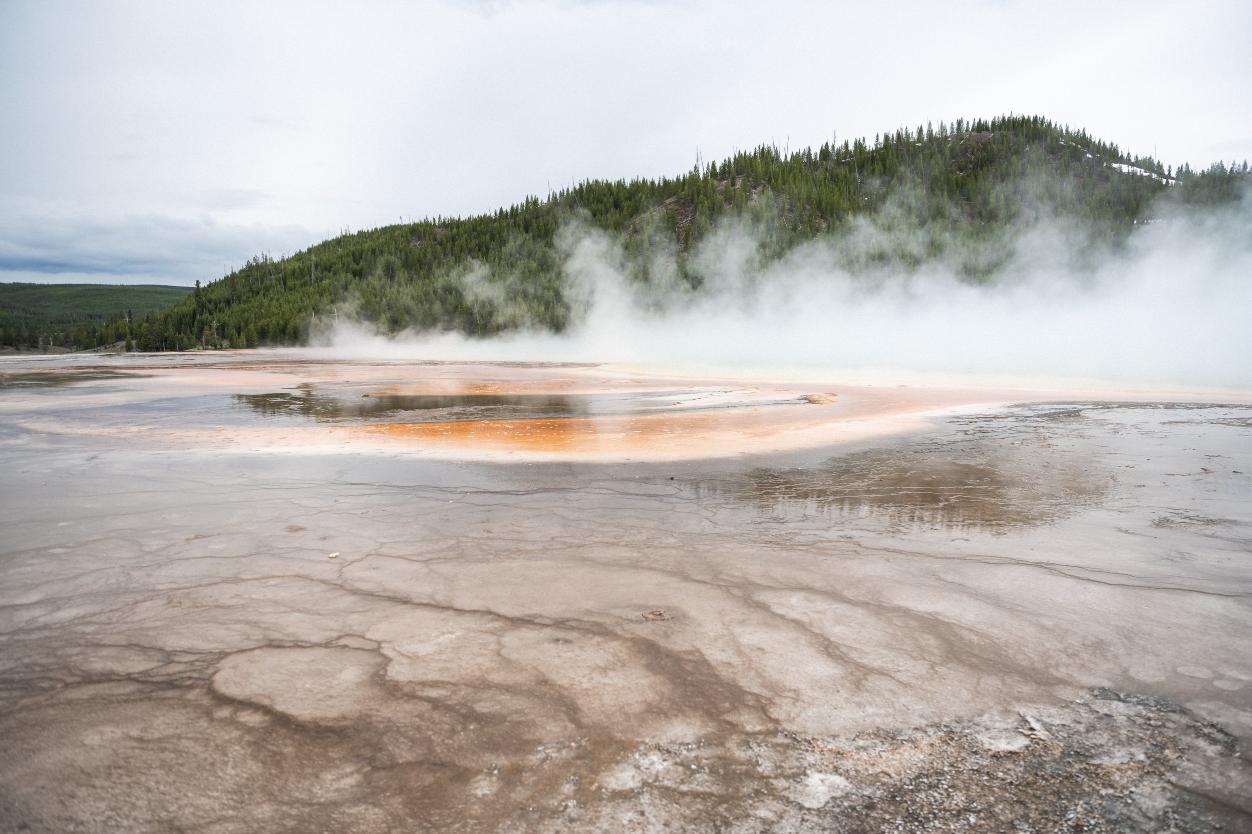 YELLOWSTONE NATIONAL PARK 23 MONTANA AEM-18.jpg