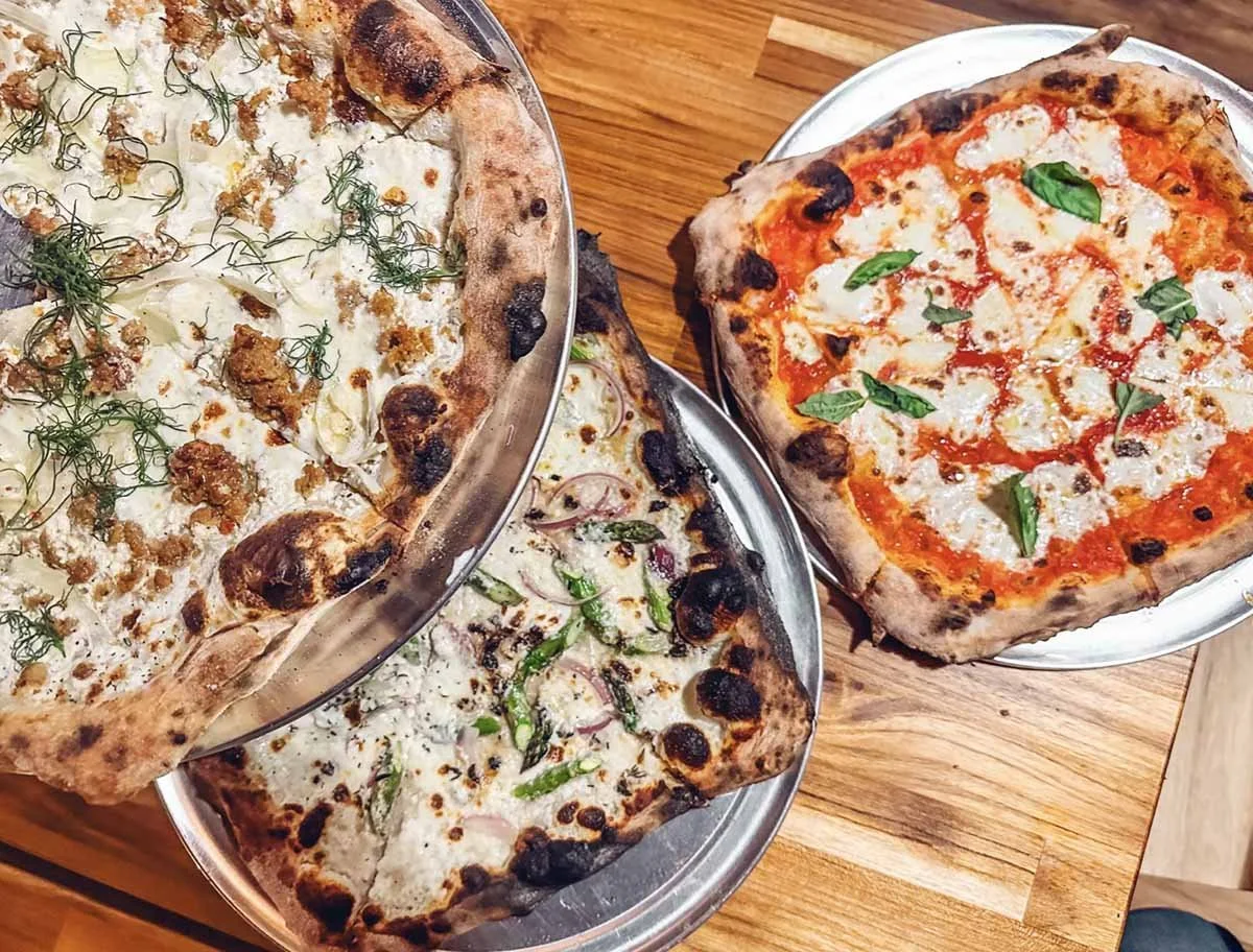  Catbird  5 5/31/24 THE INFATUATION