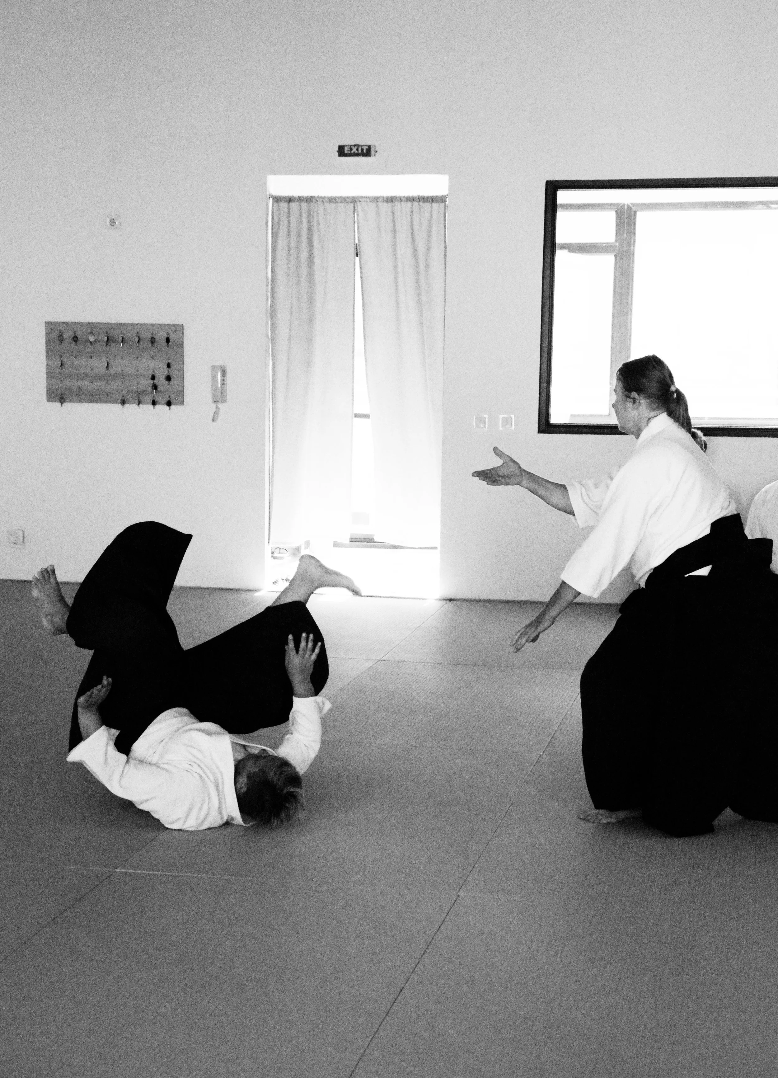 Aikido Seminar with Janet Clift Sensei & Eamonn Devlin Sensei - September 2025