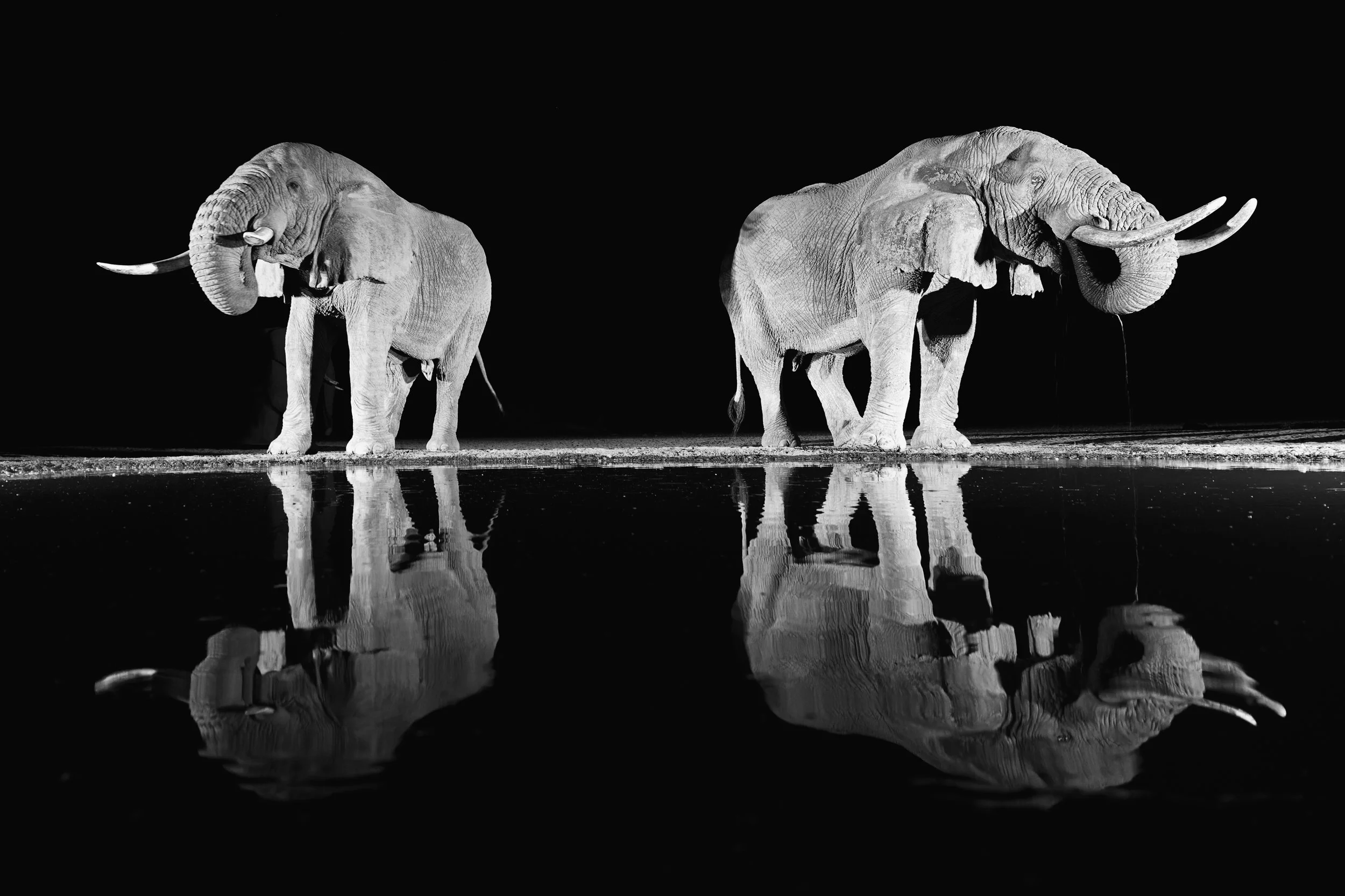 _KYA7496-DxO_DeepPRIME 3-Edit.jpg