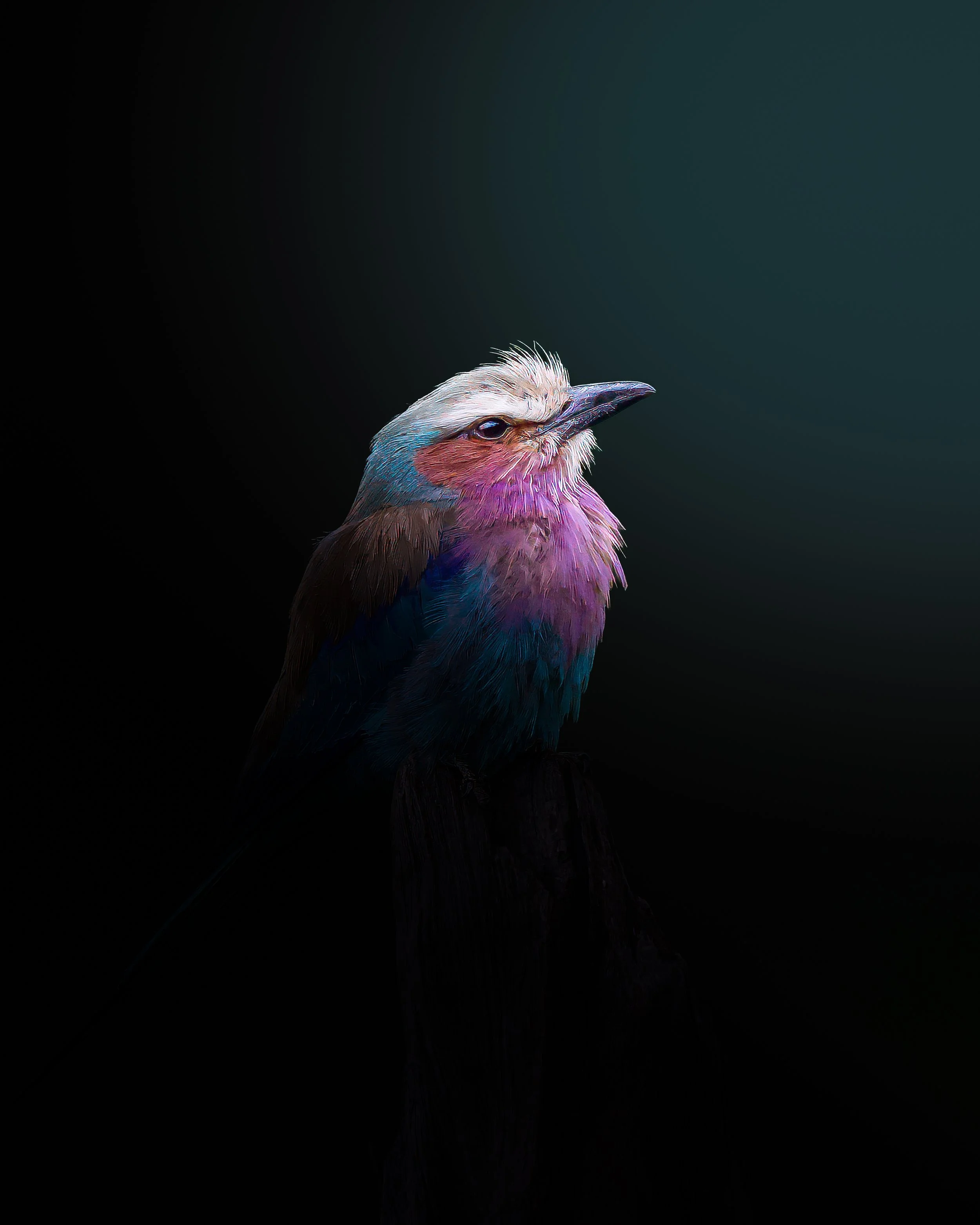 _G9A6625-Edit.jpg