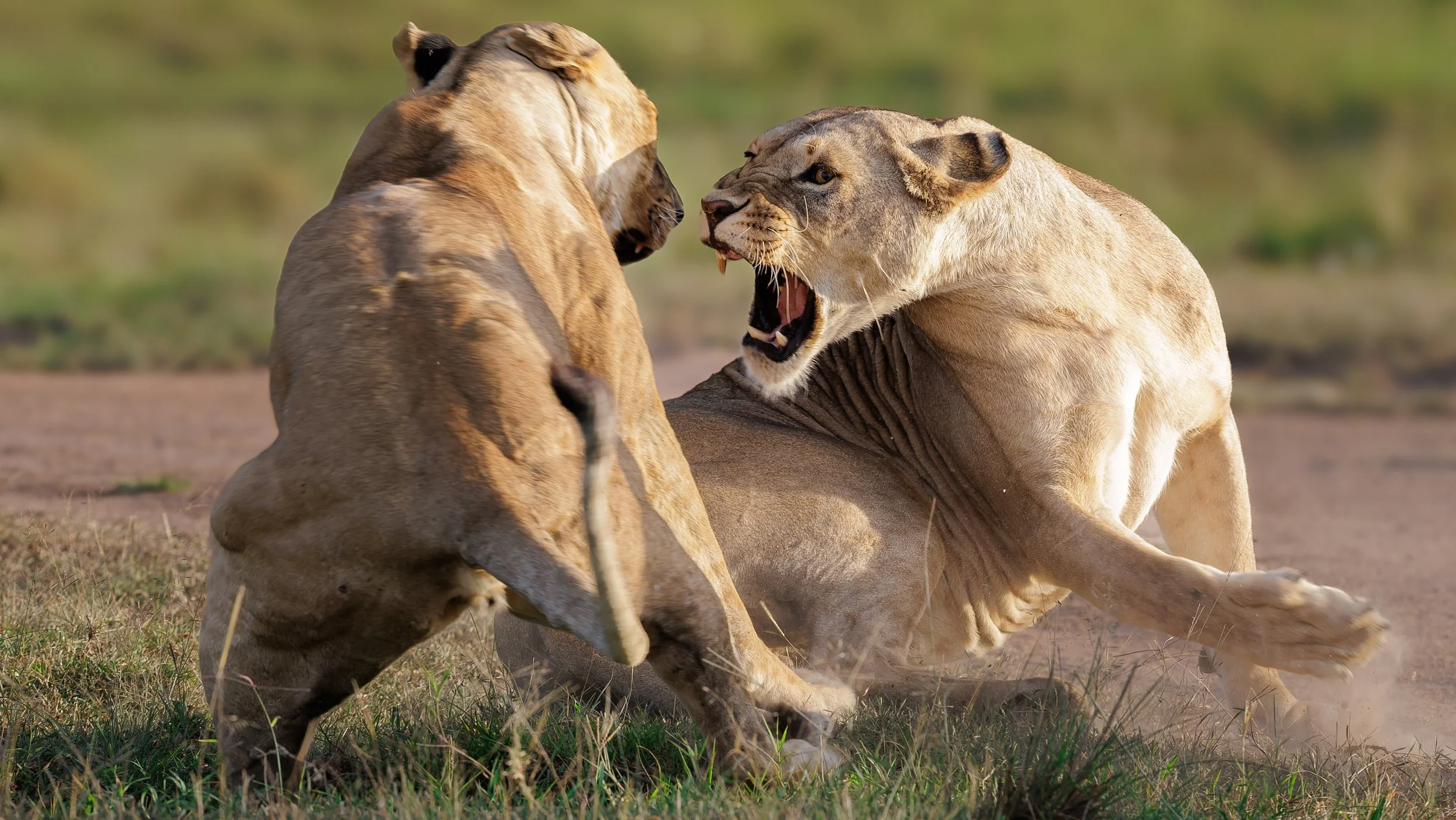 _KYA0072-DxO_DeepPRIME 3.jpg