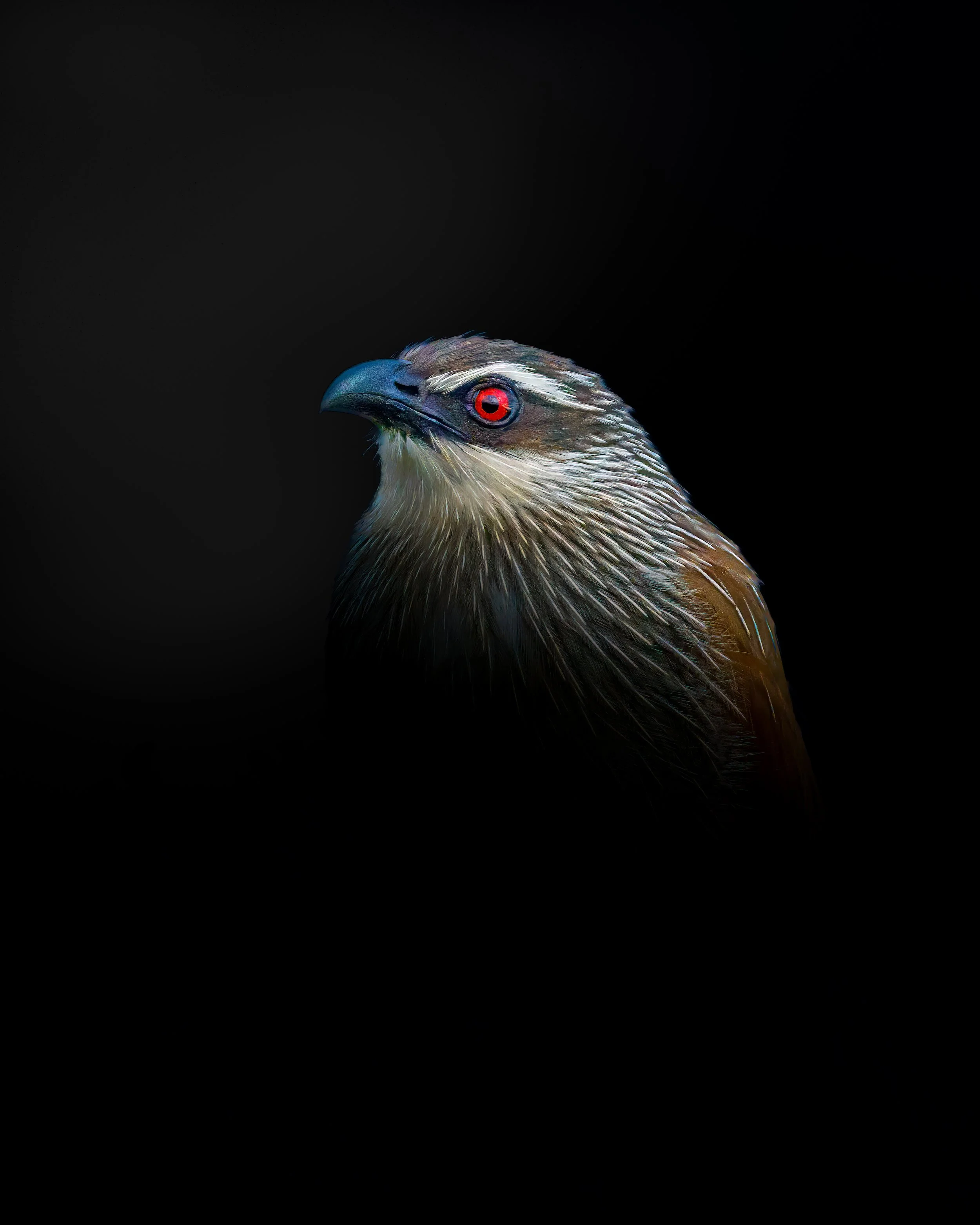 _NYA5621-Edit.jpg