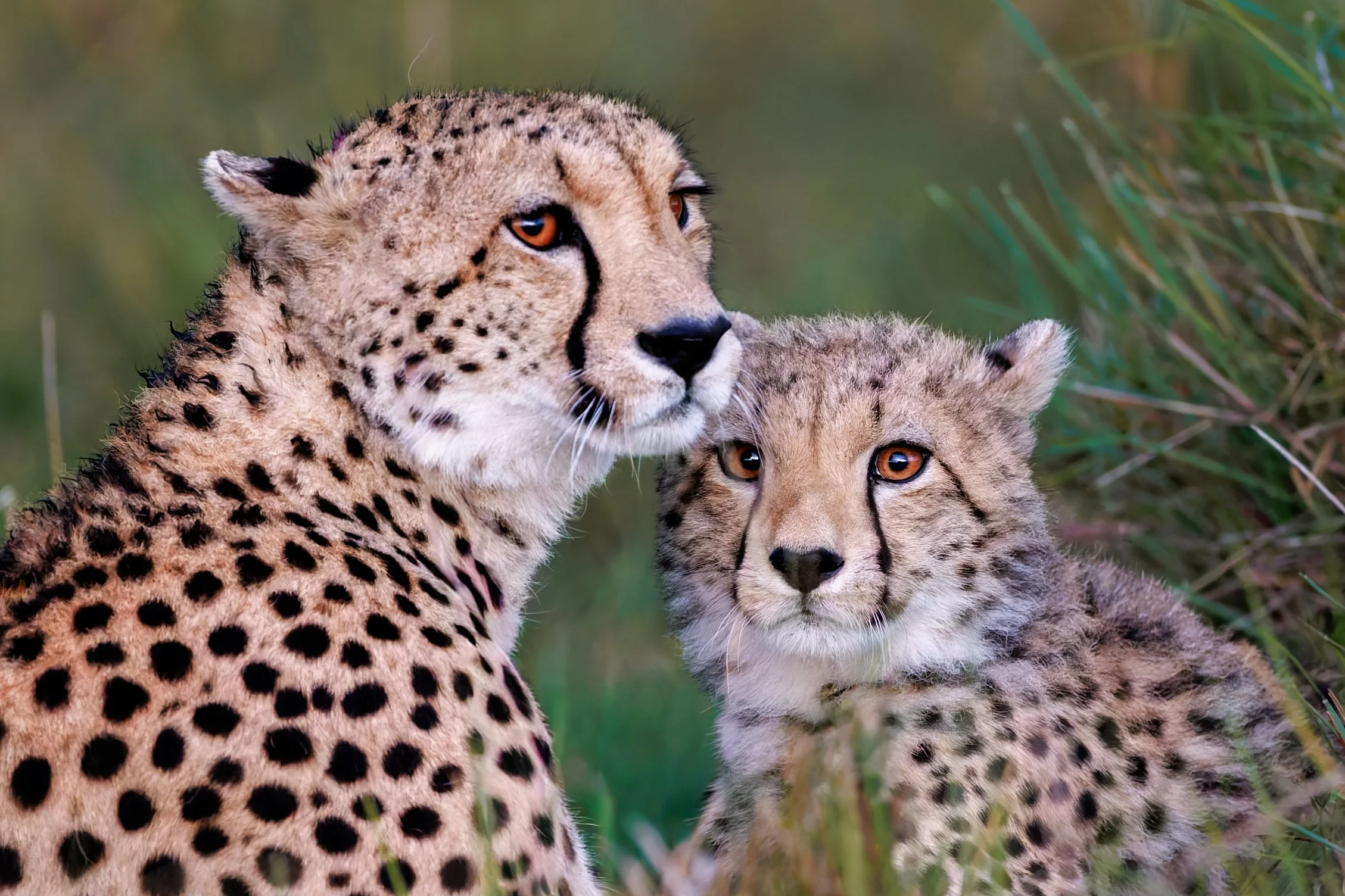 _KYA9122-DxO_DeepPRIME XD2s.jpg