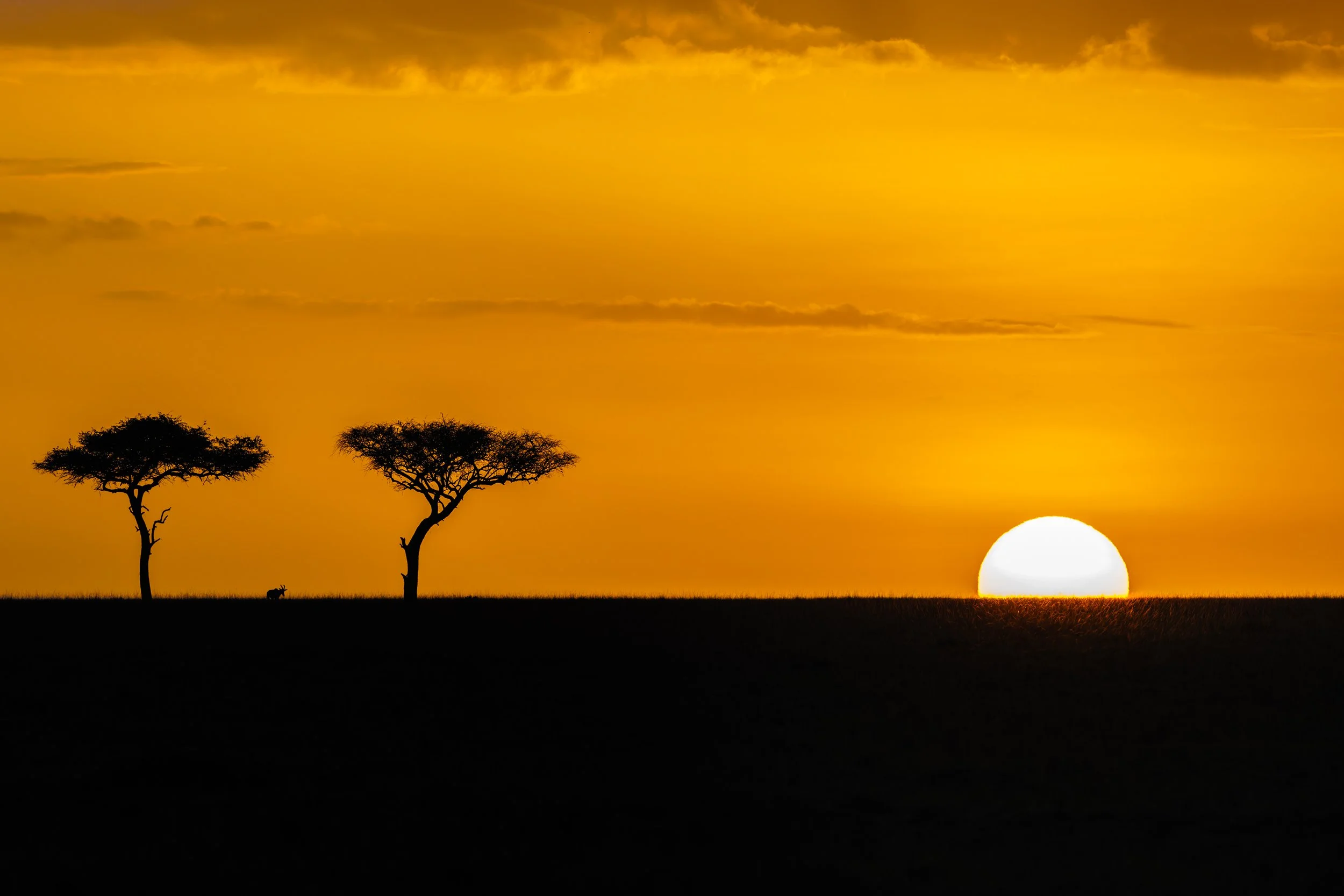 _KYA9674-DxO_DeepPRIME 3.jpg