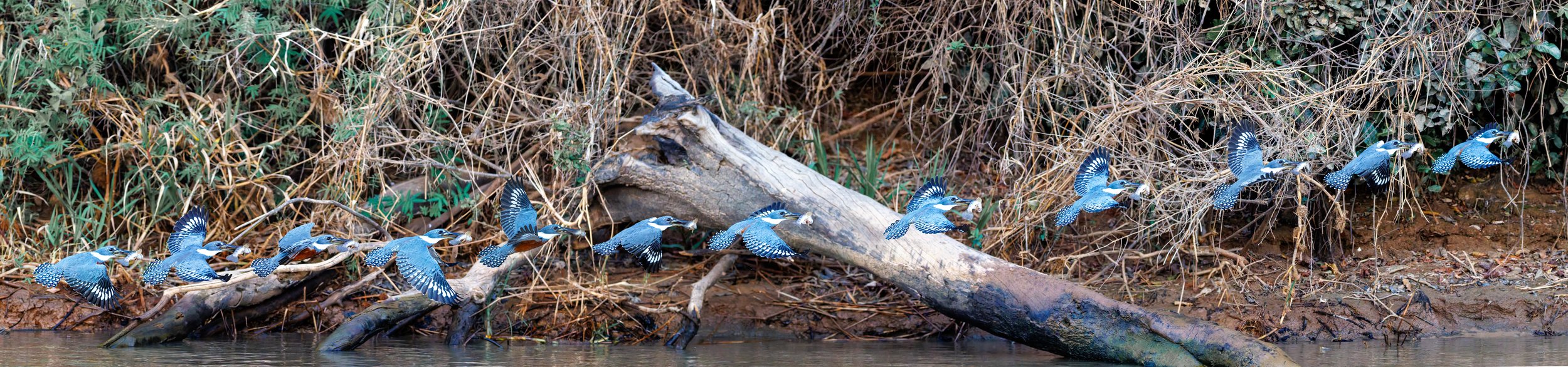 _RAZ2650-DxO_DeepPRIME 3-Pano-Recovered.jpg