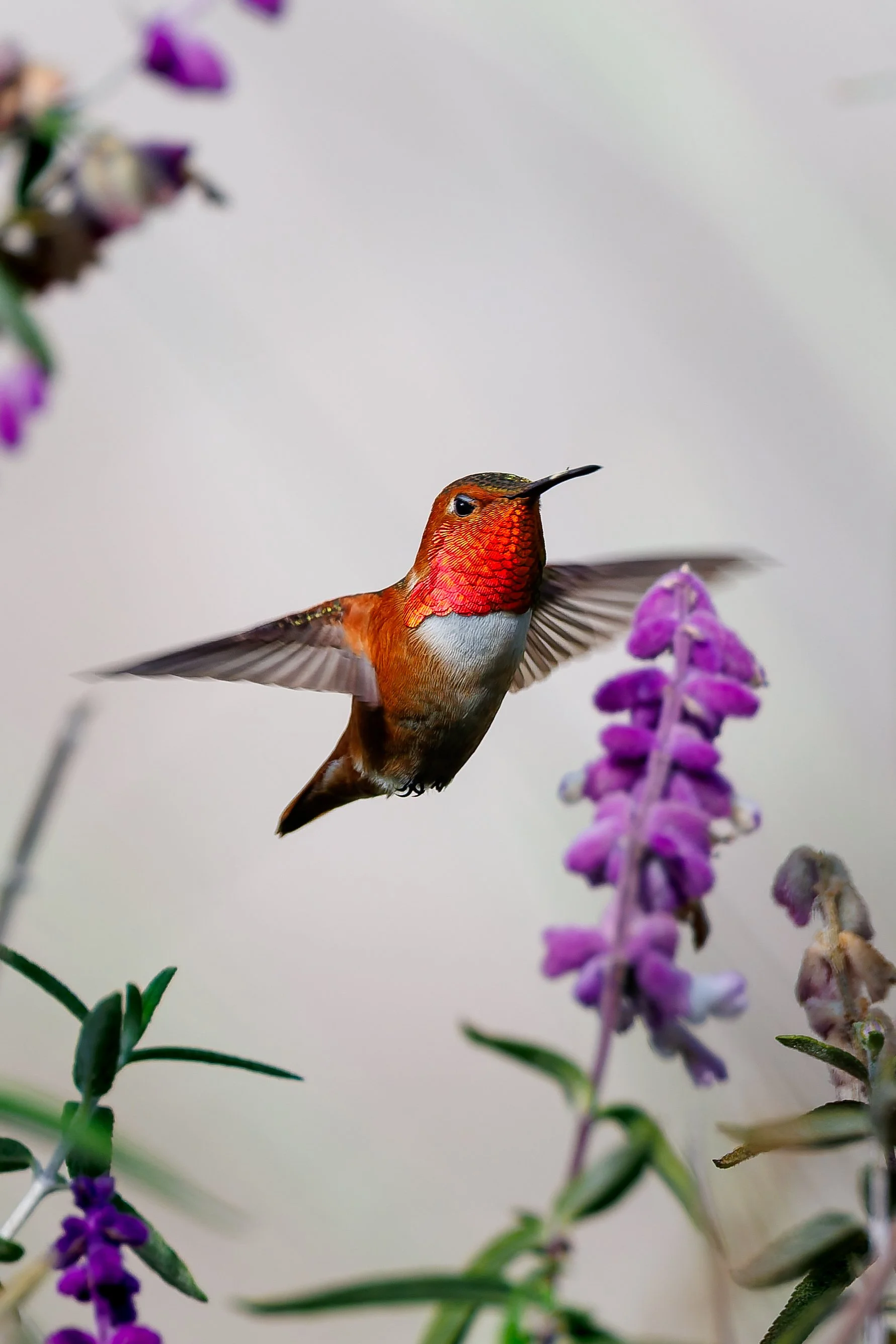 _KYA5454-DxO_DeepPRIME 3.jpg