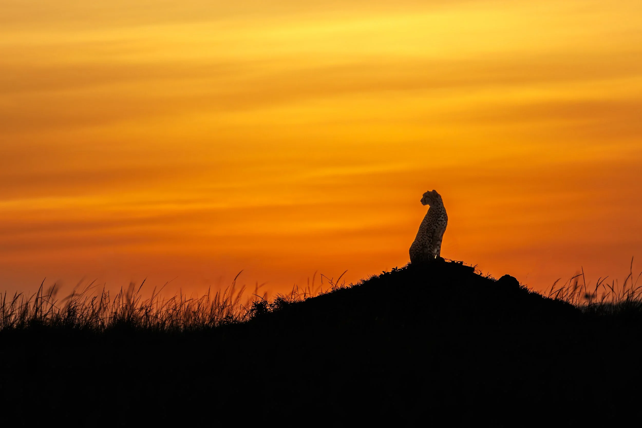 _KYA5971-DxO_DeepPRIME 3.jpg